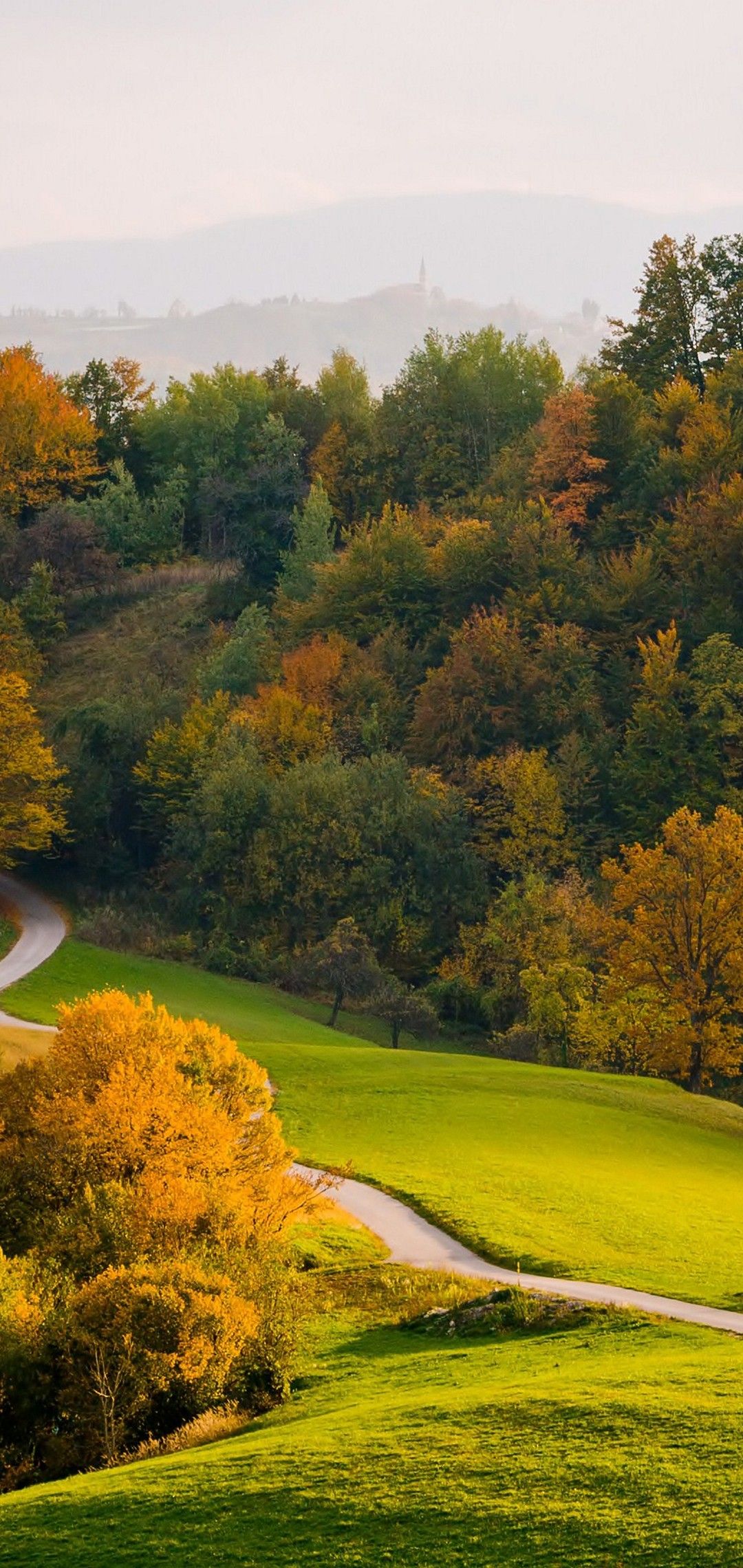 Paesaggio autunnale collinare verde, 1080x2280 Verticale, Android