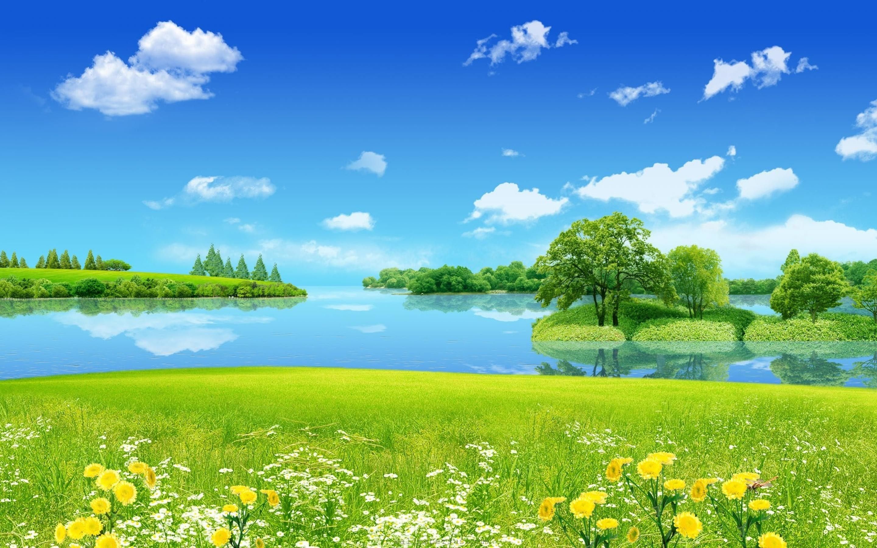 Paesaggio lago verde con fiori, 2880x1800 WQXGA, Desktop