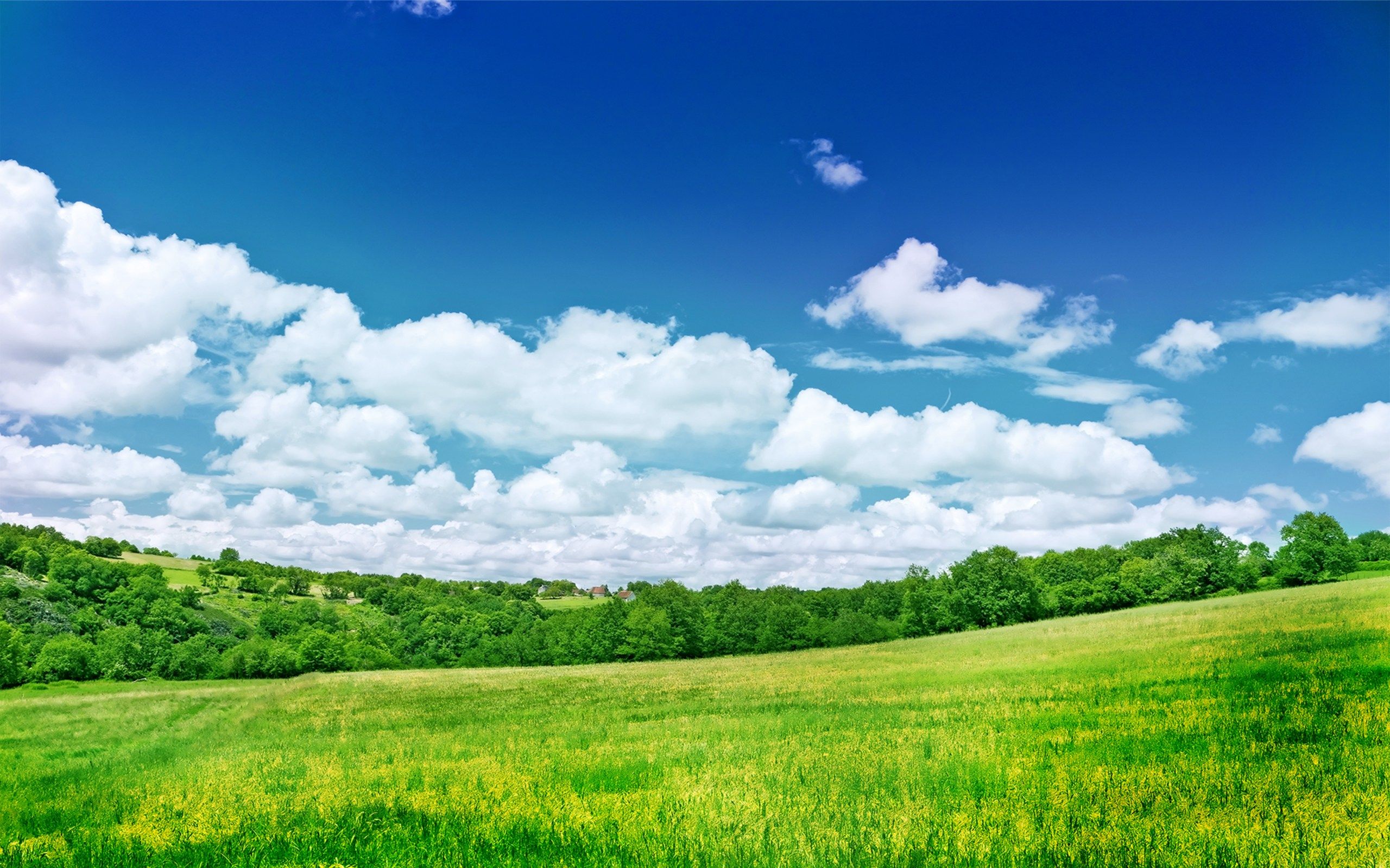 Paesaggio prato verde cielo azzurro, 2560x1600 WQXGA, Desktop