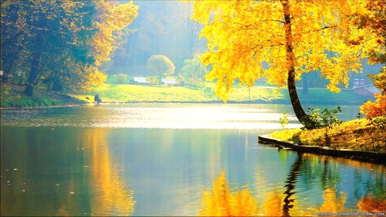 Paesaggio autunnale lago dorato, 1280x720 HD, Desktop