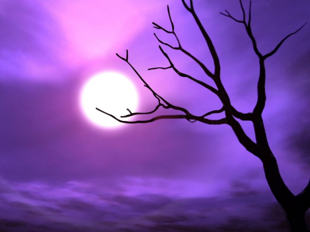 Luna viola e ramo, 1024x768 HD, PC