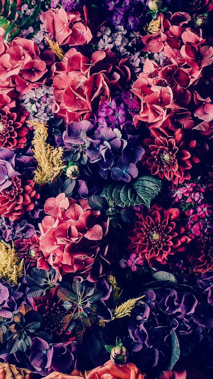Fiori colorati fitti, 736x1308 Full HD Verticale, iPhone