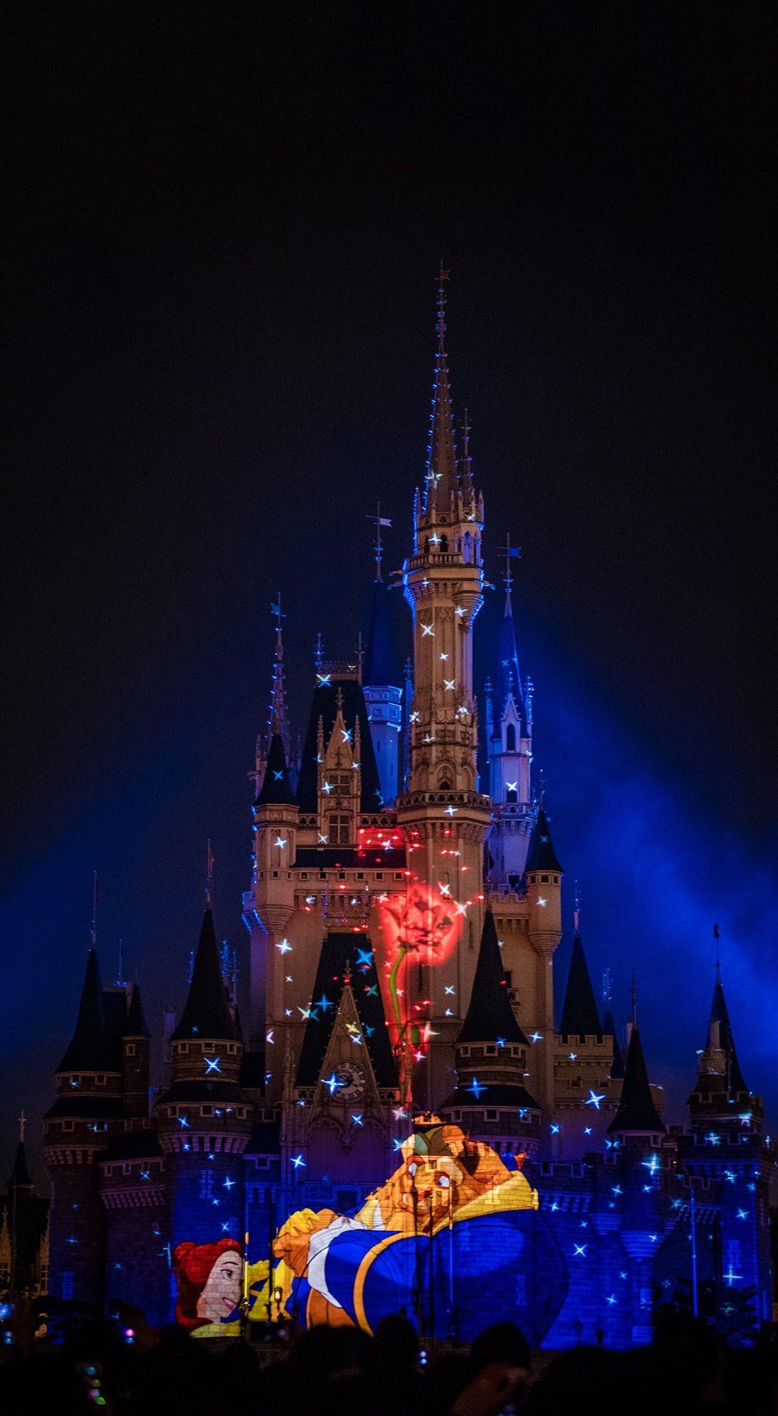 Castello Disney fuochi artificio, 1100x2000 Full HD Verticale, Smartphone