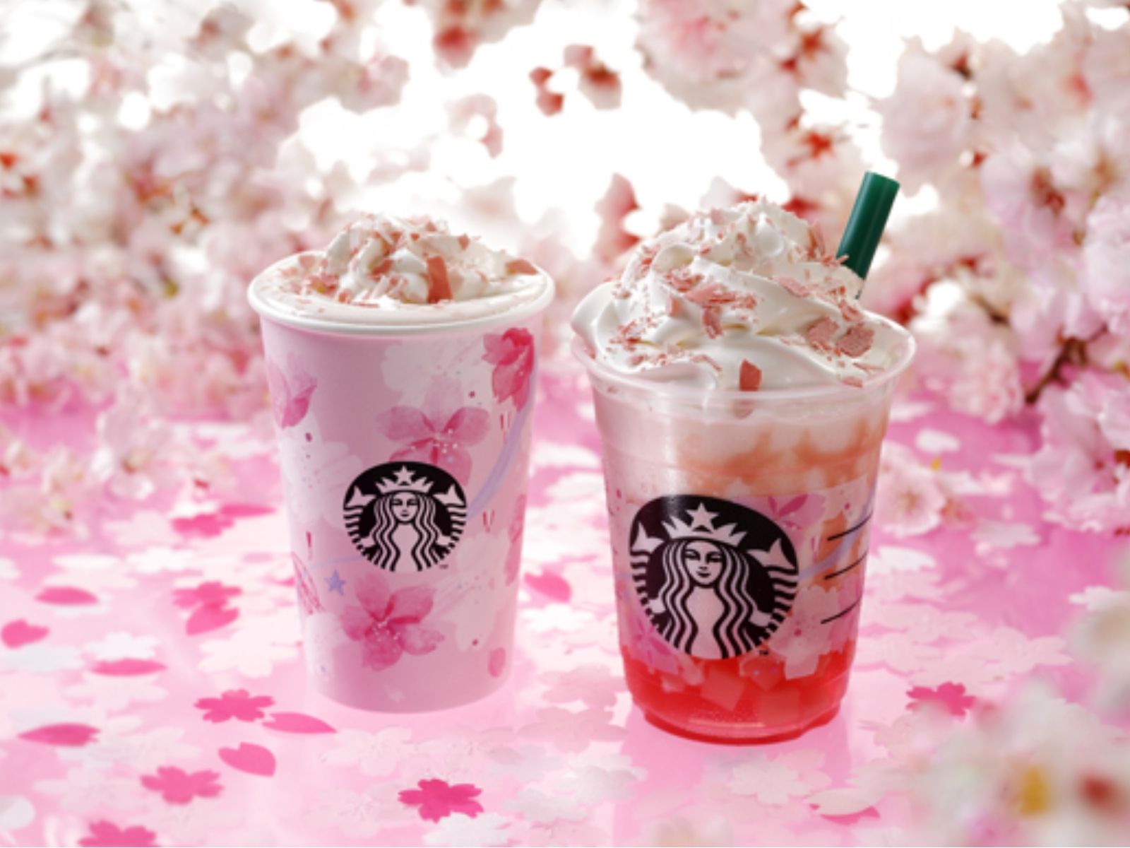 Bevande Starbucks fiori ciliegio, 1600x1200 HD, PC