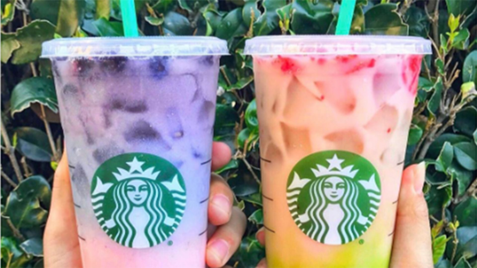 Bevande Starbucks colorate arcobaleno, 1920x1080 1080p, Laptop
