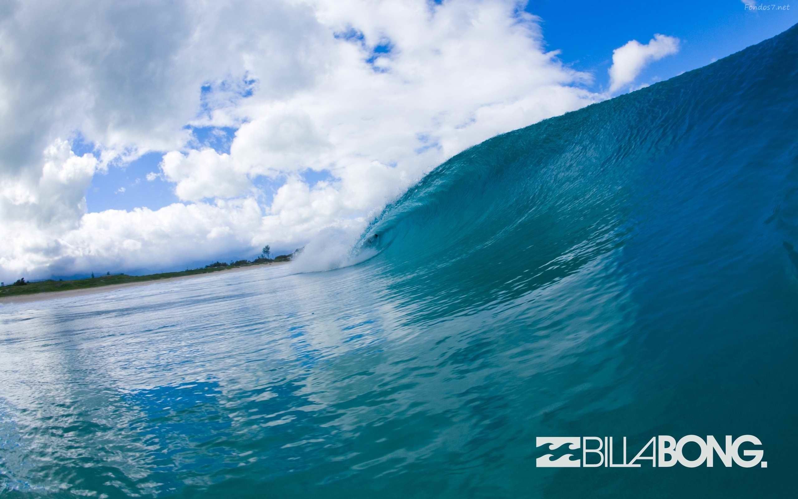 Onda oceano logo Billabong, 2560x1600 2K, PC