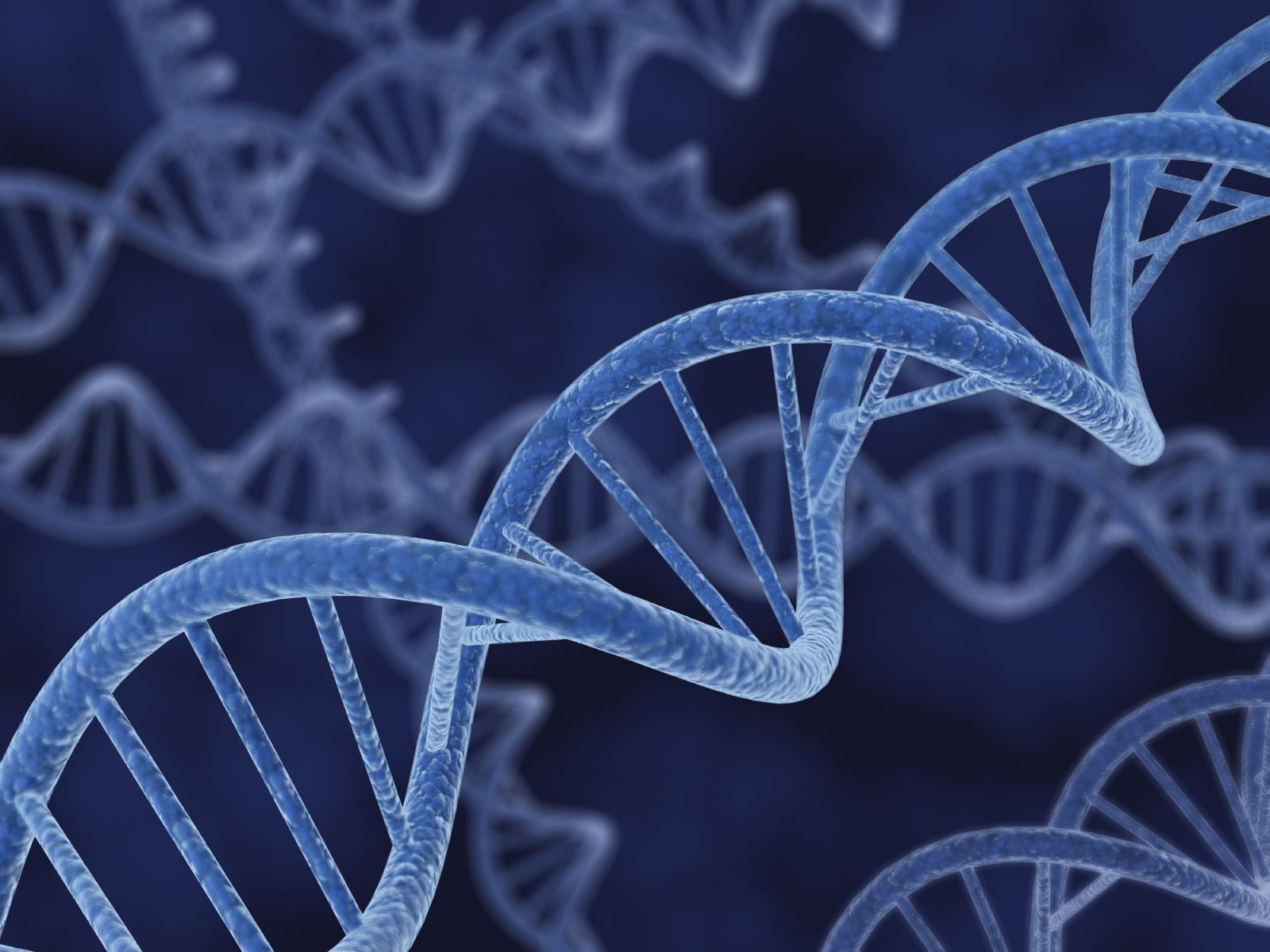 Elica DNA blu 3D, 1600x1200 HD Ready, Desktop