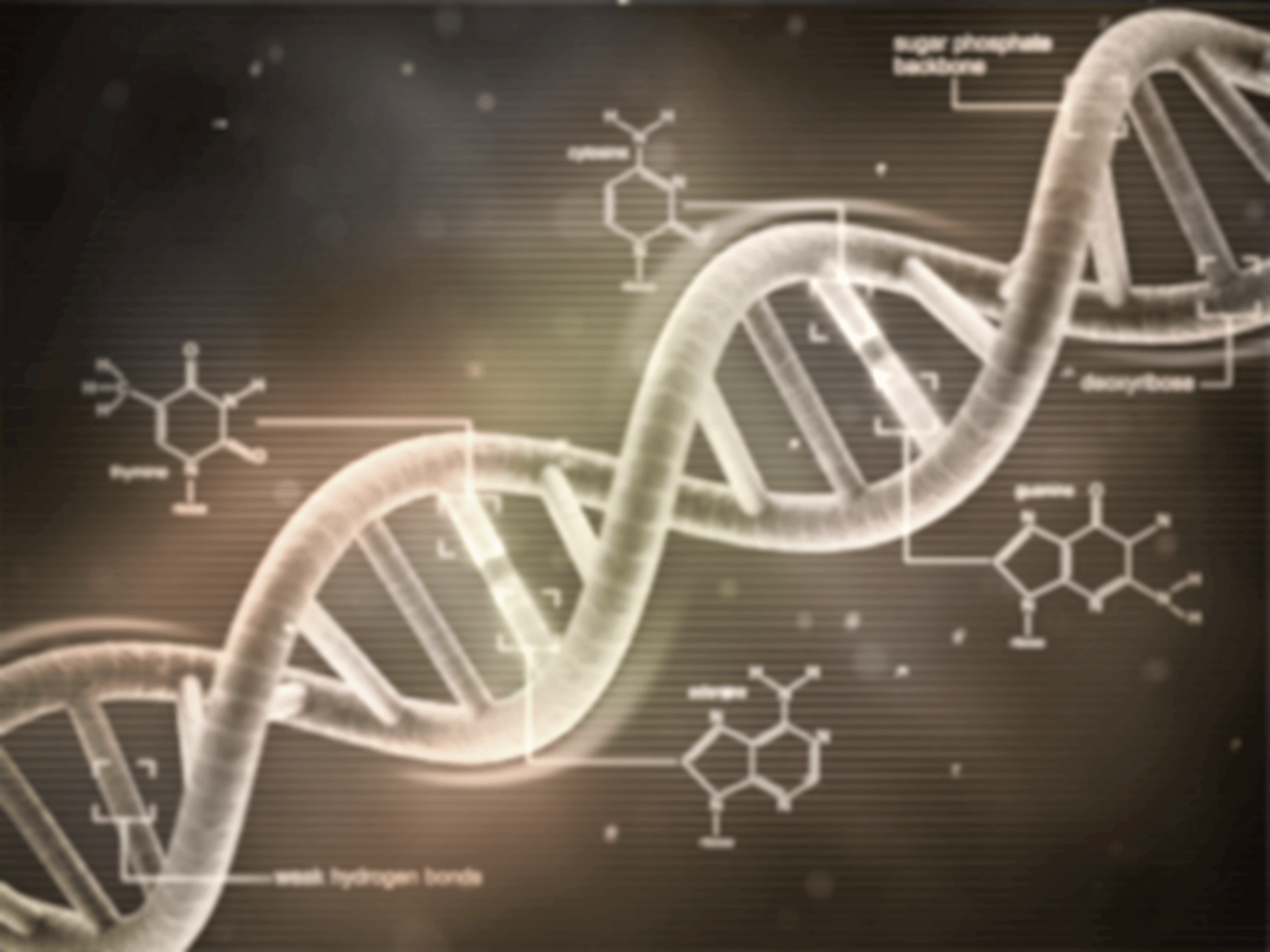 Formule chimiche e DNA su nero, 1300x1142 720p, PC