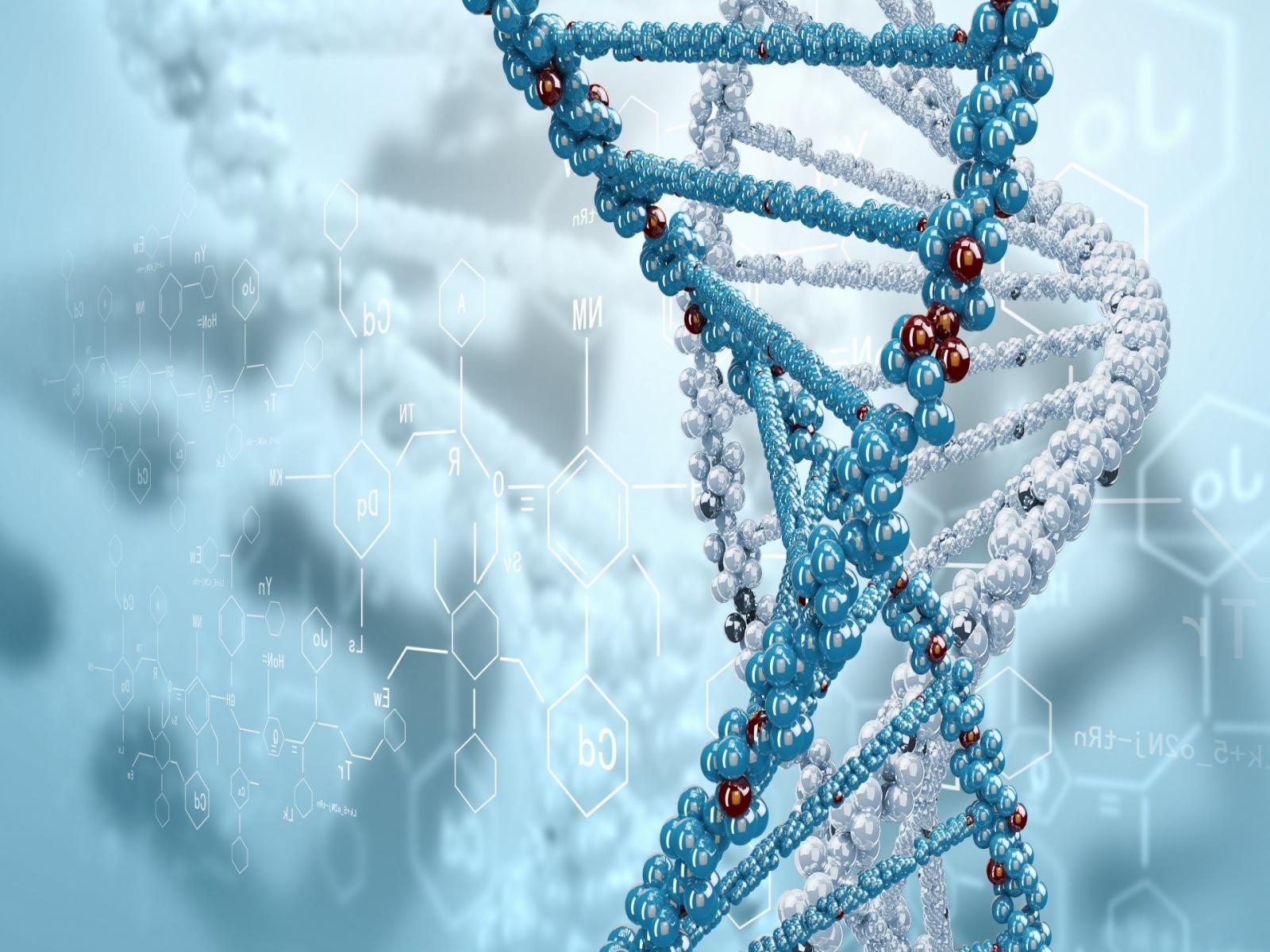 Elica di DNA blu, 1600x1200 HD Ready, Desktop