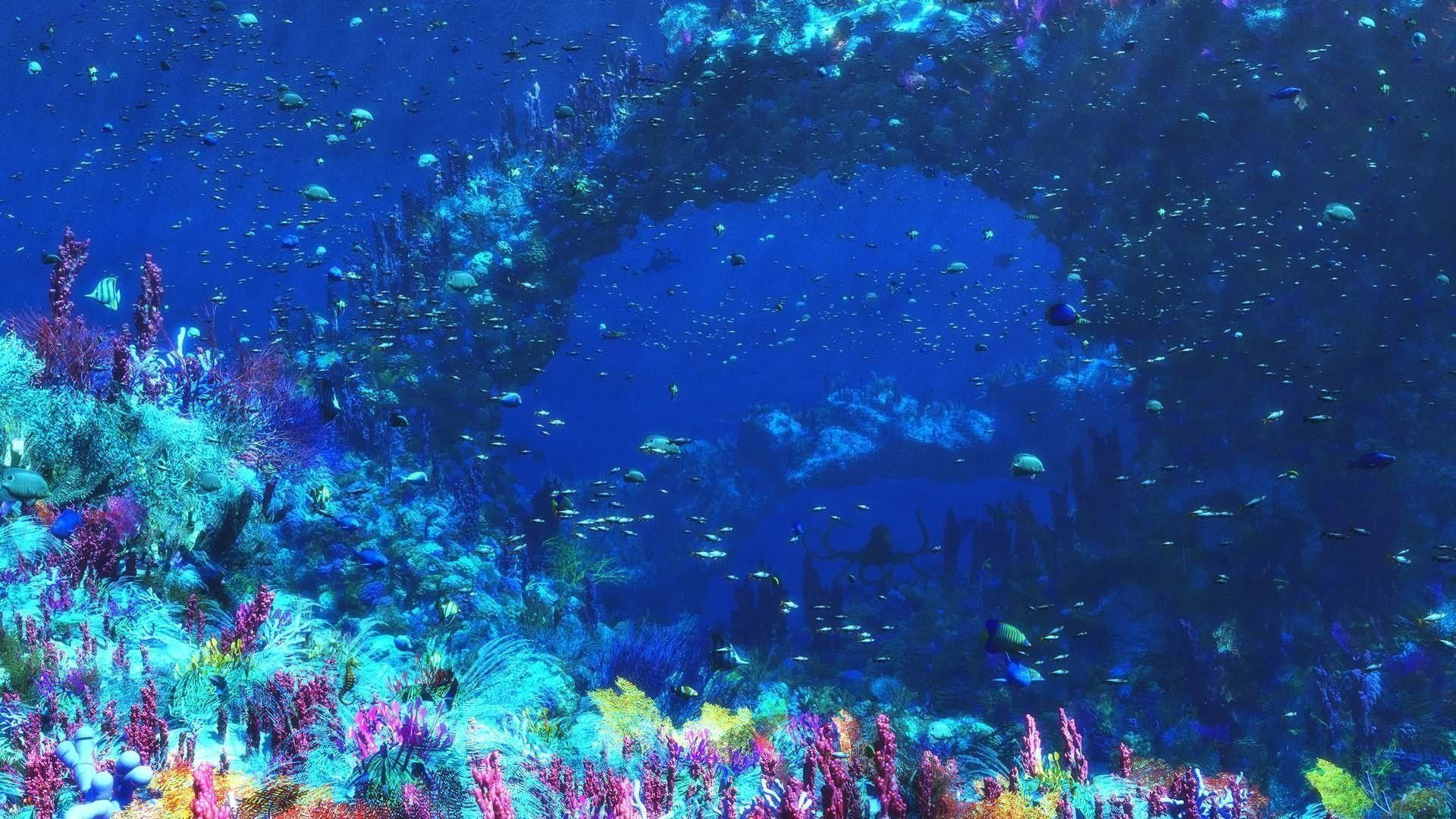 Barriera corallina blu con pesci, 1920x1080 1080p, Laptop