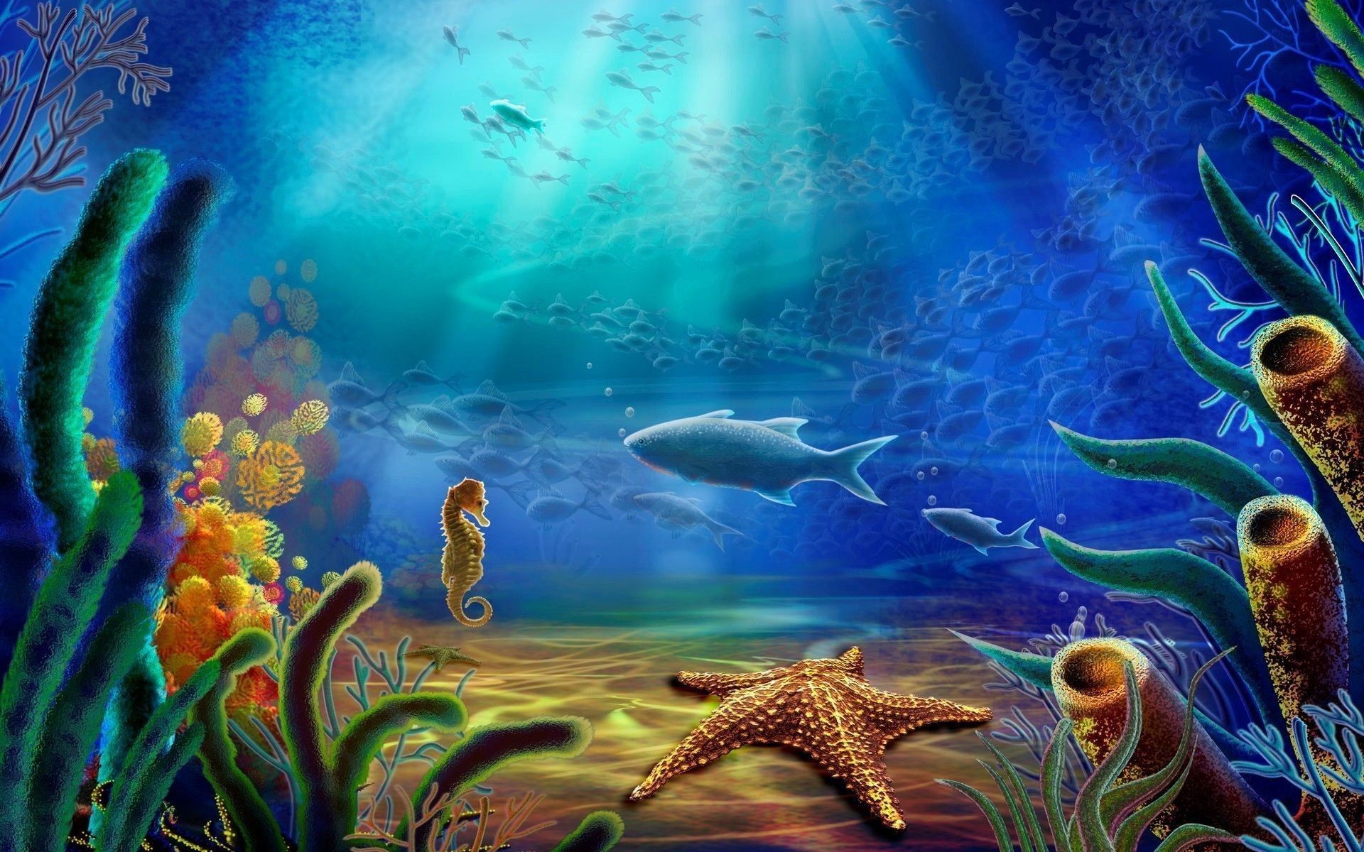 Fondale marino con squalo e stella, 1920x1200 Full HD+, PC