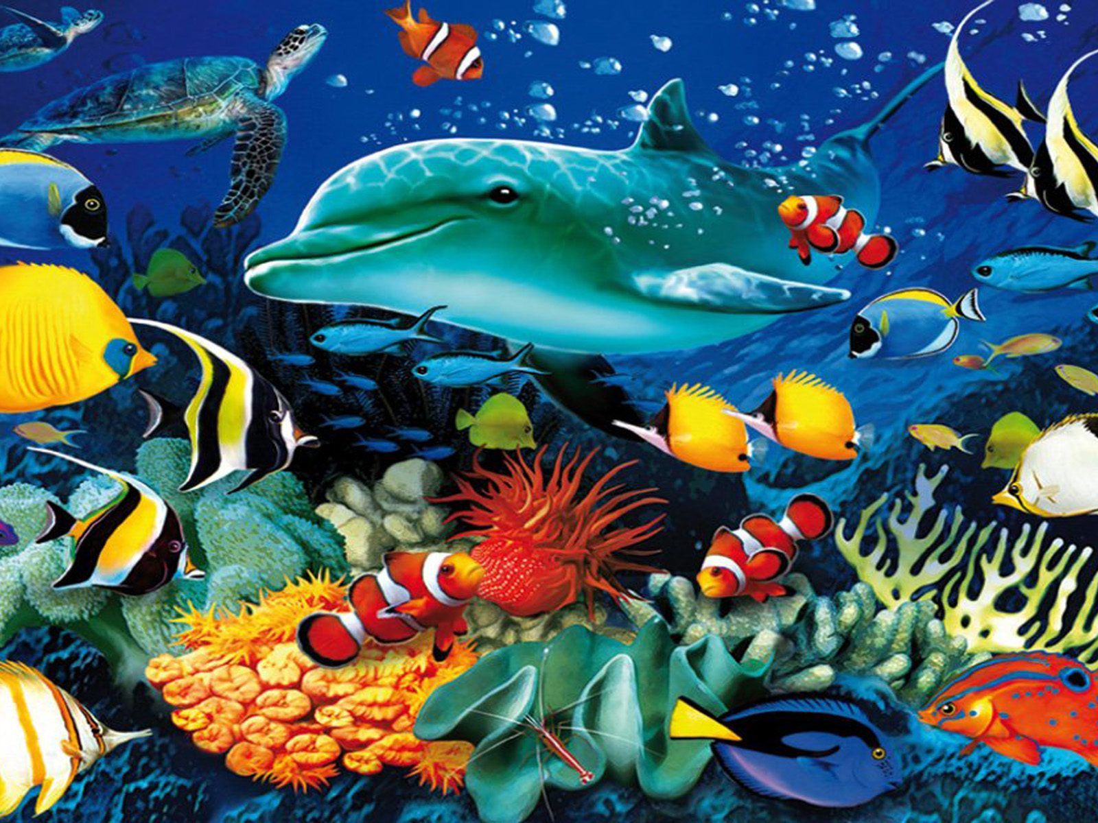 Delfino tartaruga pesci colorati barriera, 1600x1200 HD, ROG Asus Laptop