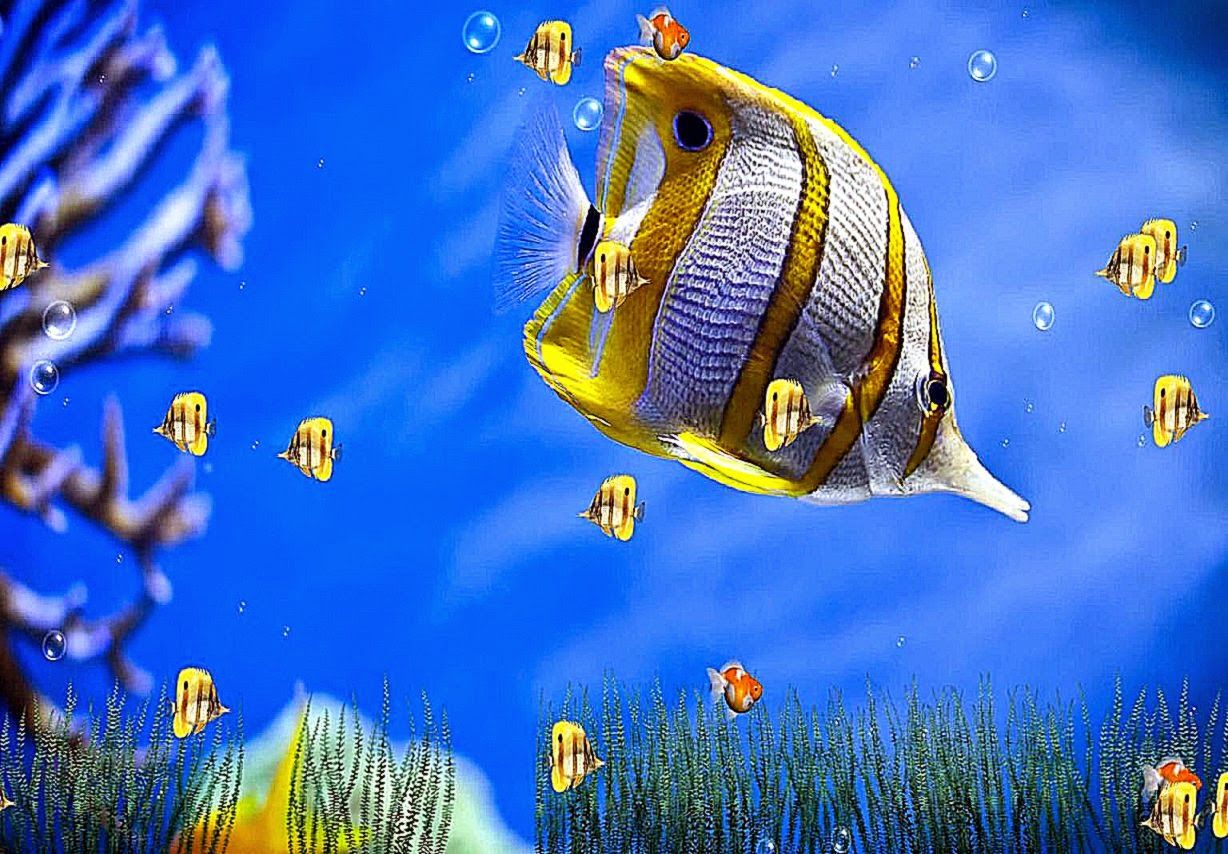 Pesce farfalla giallo tropicale, 1228x854 HD, Desktop
