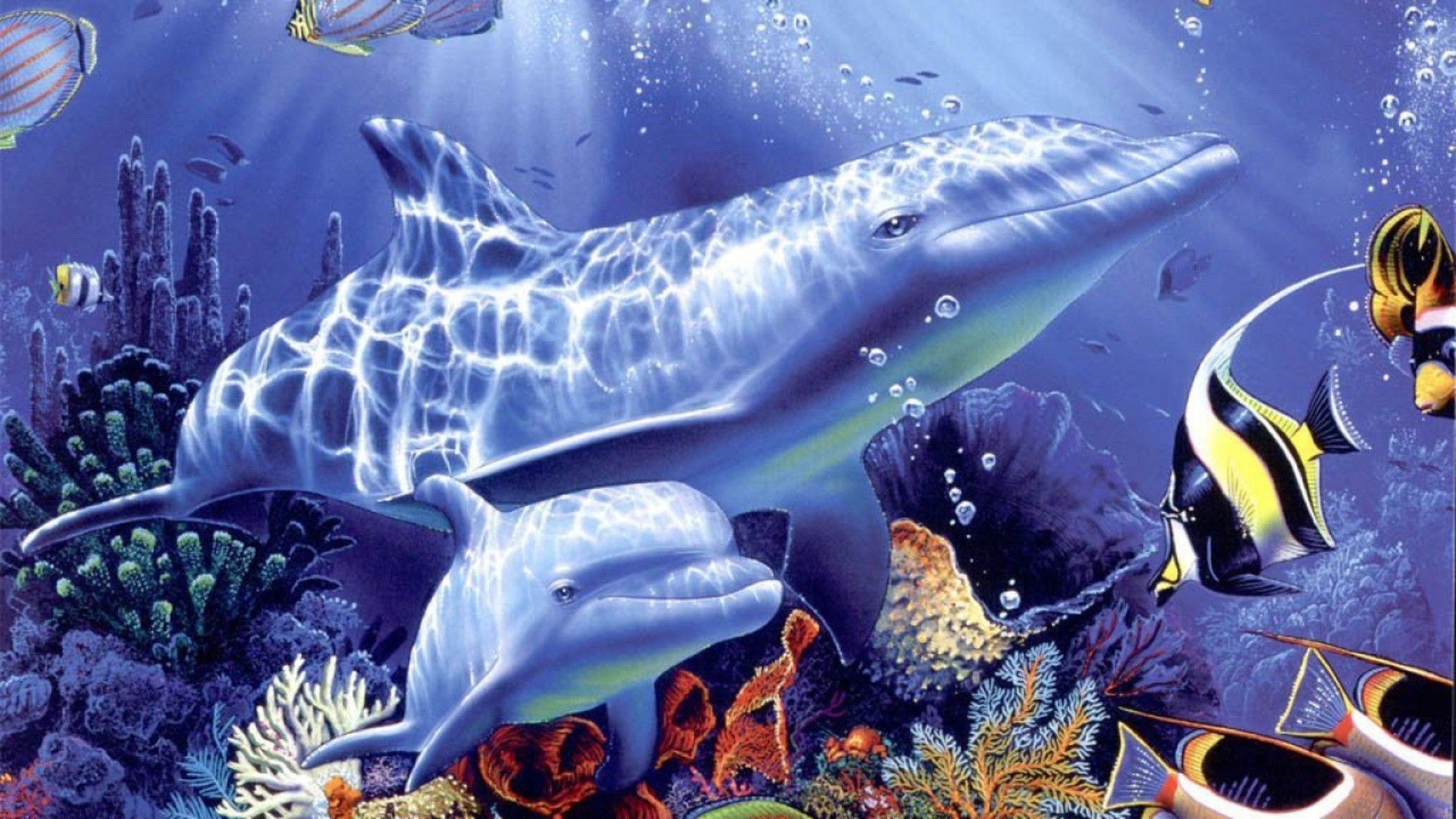Delfini e pesci tropicali sottomarini, 1920x1080 1080p, PC Desktop