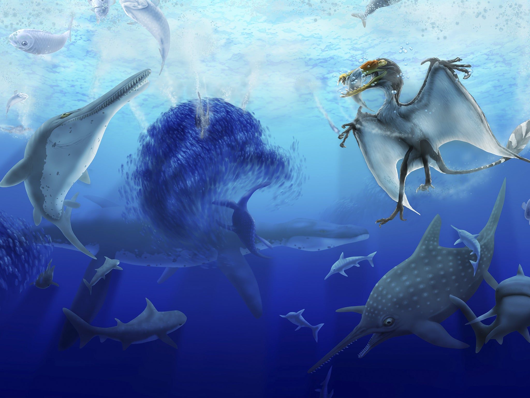 Rettili marini preistorici e pterosauro, 2048x1536 2K, Desktop