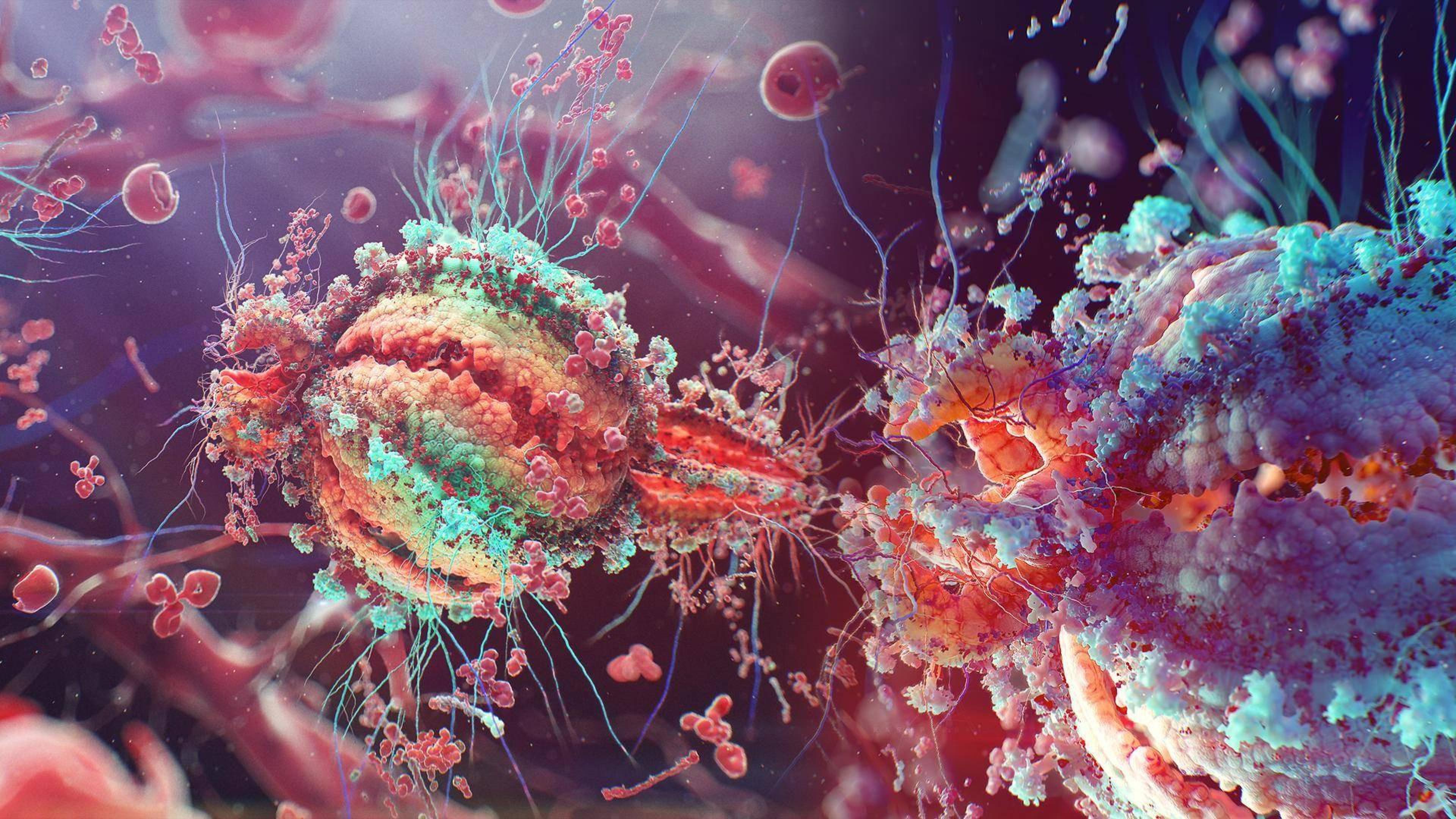 Cellule virus microscopio digitale colorato, 3840x2160 4K Ultra HD, Monitor 4K