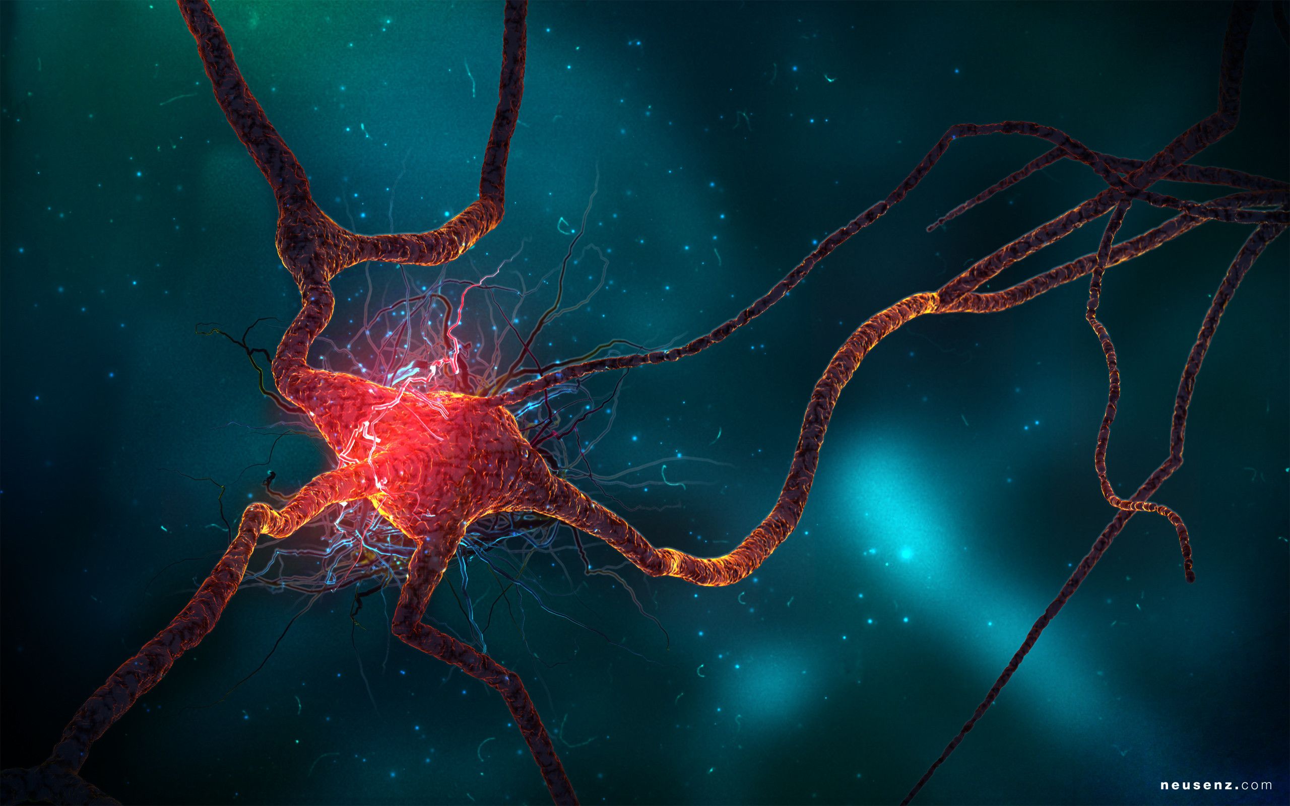 Neurone rosso su sfondo blu, 2560x1600 2K, PC