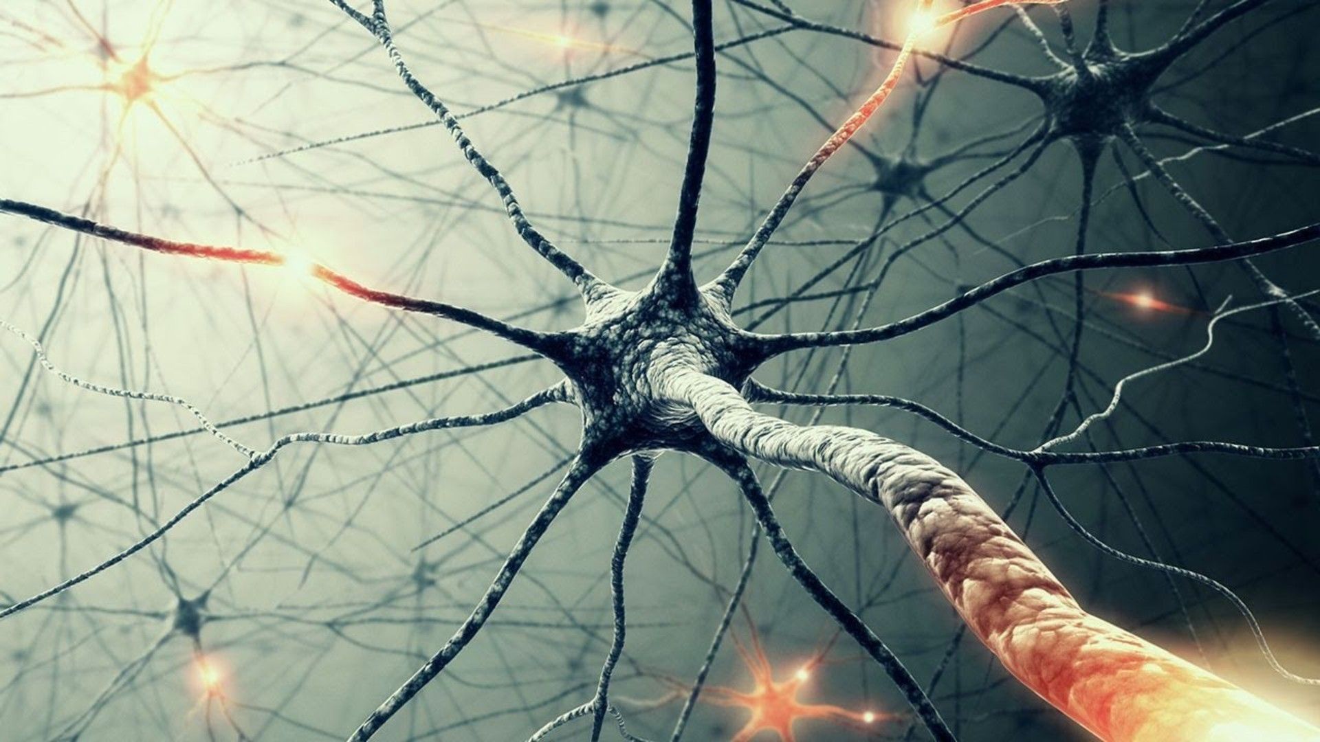 Neuroni cellule nervose rete, 1920x1080 Full HD 1080p, PC