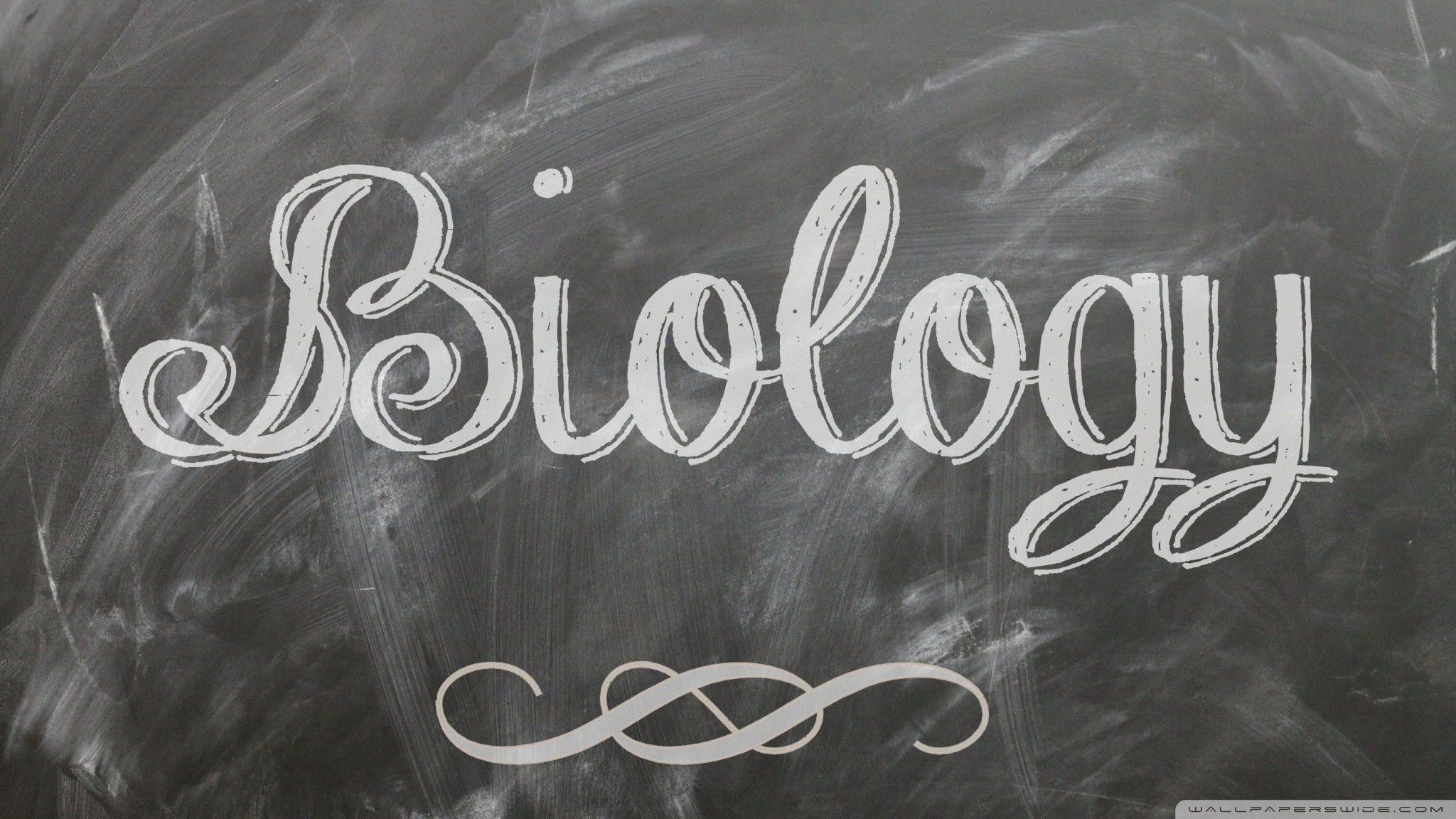 Scritta Biology su lavagna, 2048x1152 2K, Laptop