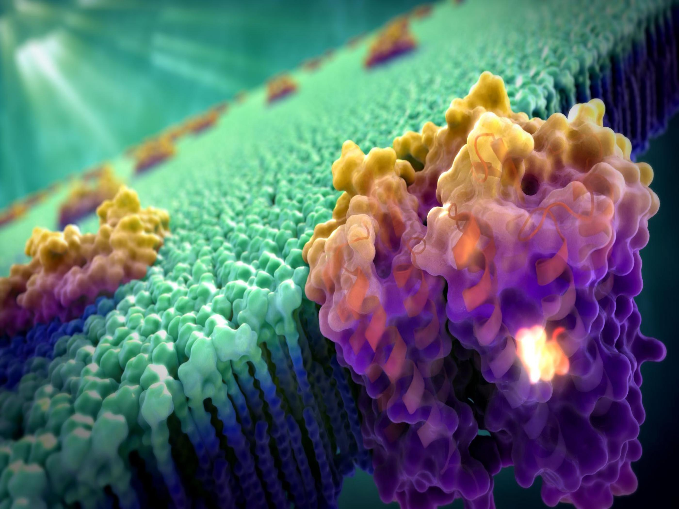 Membrana cellulare con proteine 3D, 2800x2100 2K, PC