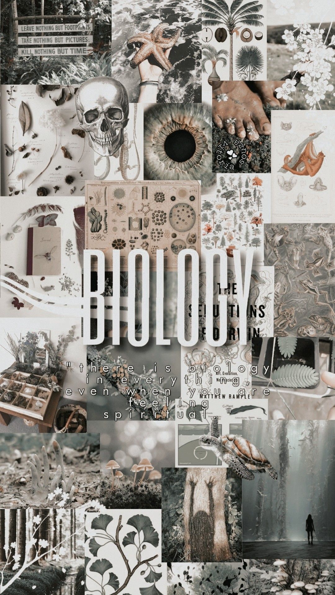 Collage biologia toni beige, 1080x1915 Verticale, Mobile