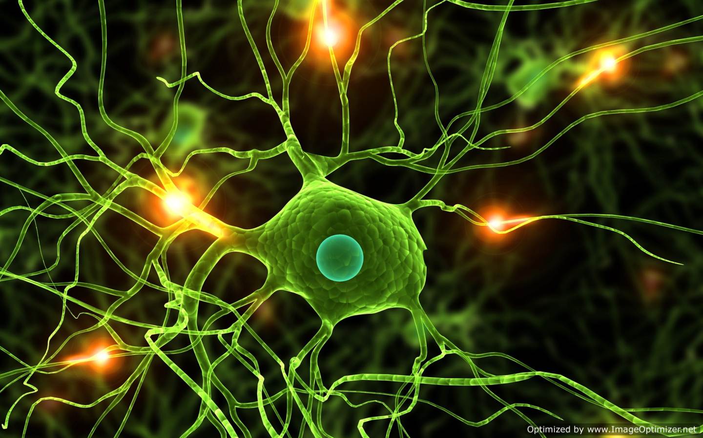 Neurone verde con sinapsi luminose, 1440x899 720p, MacBook Air