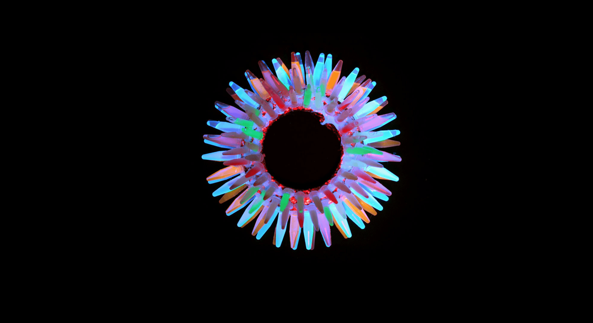 Diatomea colorata sfondo nero, 1980x1080 Full HD 1080p, Desktop