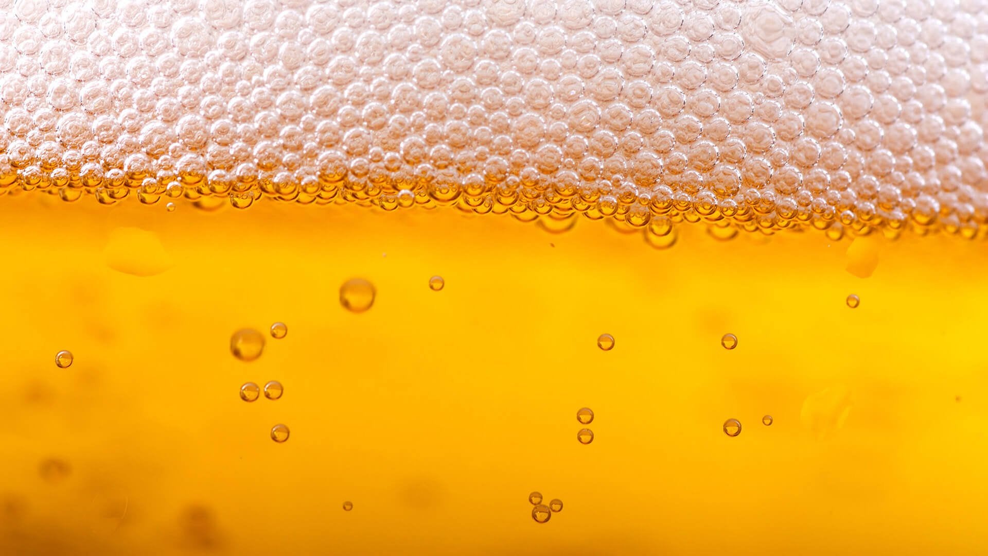 Birra dorata con schiuma, 1920x1080 Full HD, PC