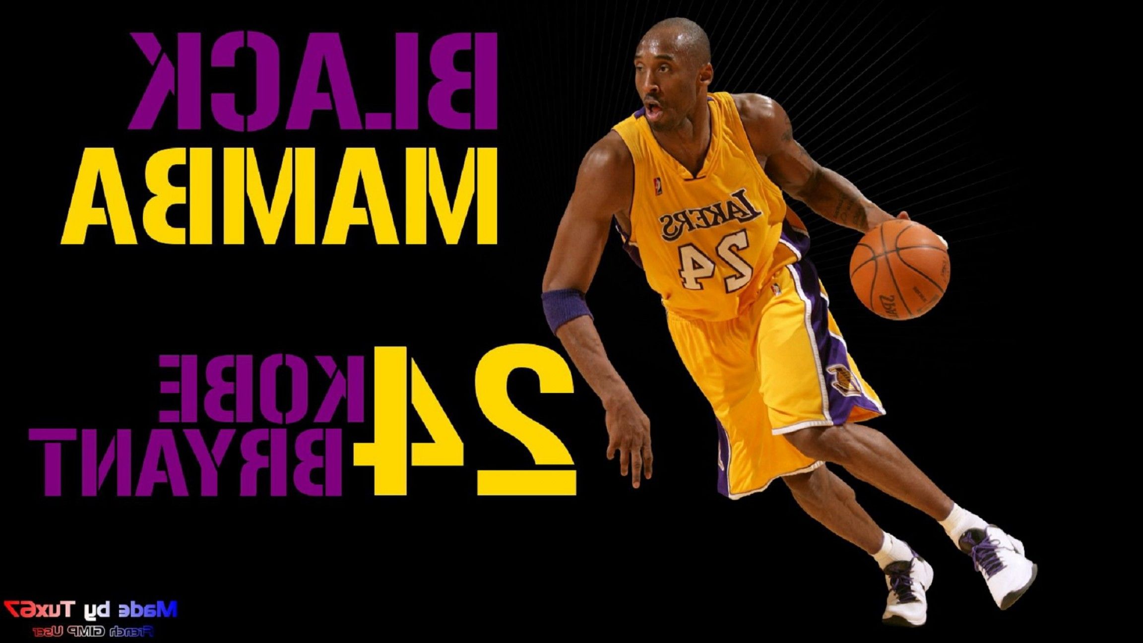 Kobe Bryant Black Mamba illustrazione, 2304x1296 alta risoluzione, Laptop