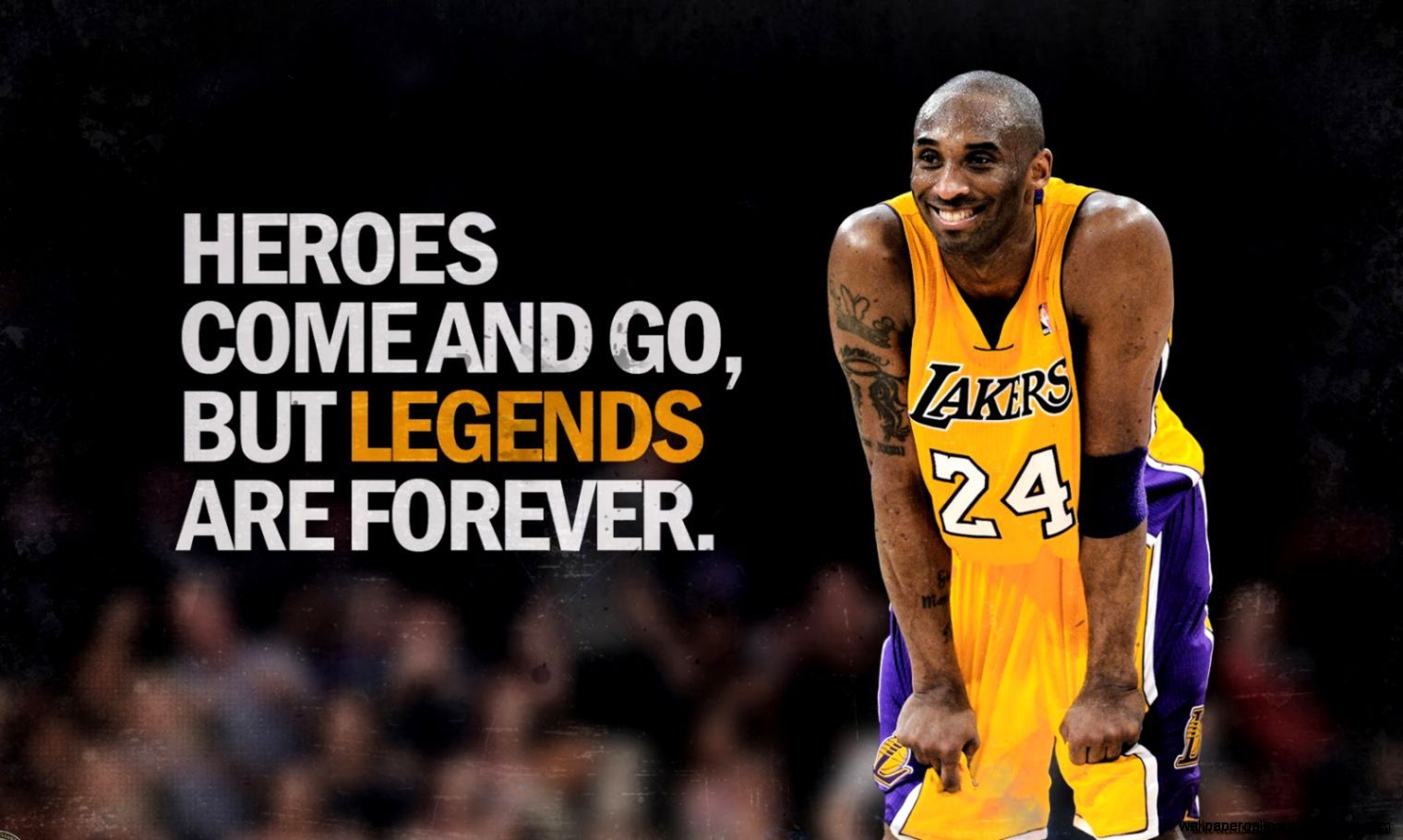 Kobe Bryant Lakers Black Mamba, 1520x910 720p, PC