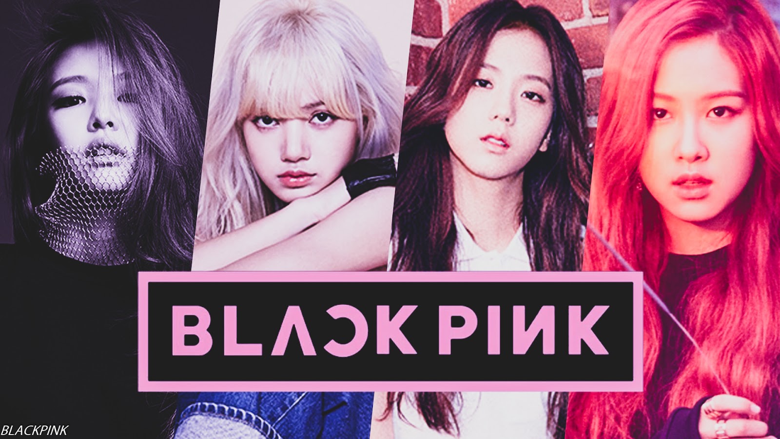 BLACKPINK gruppo kpop, 1600x900 900p, PC