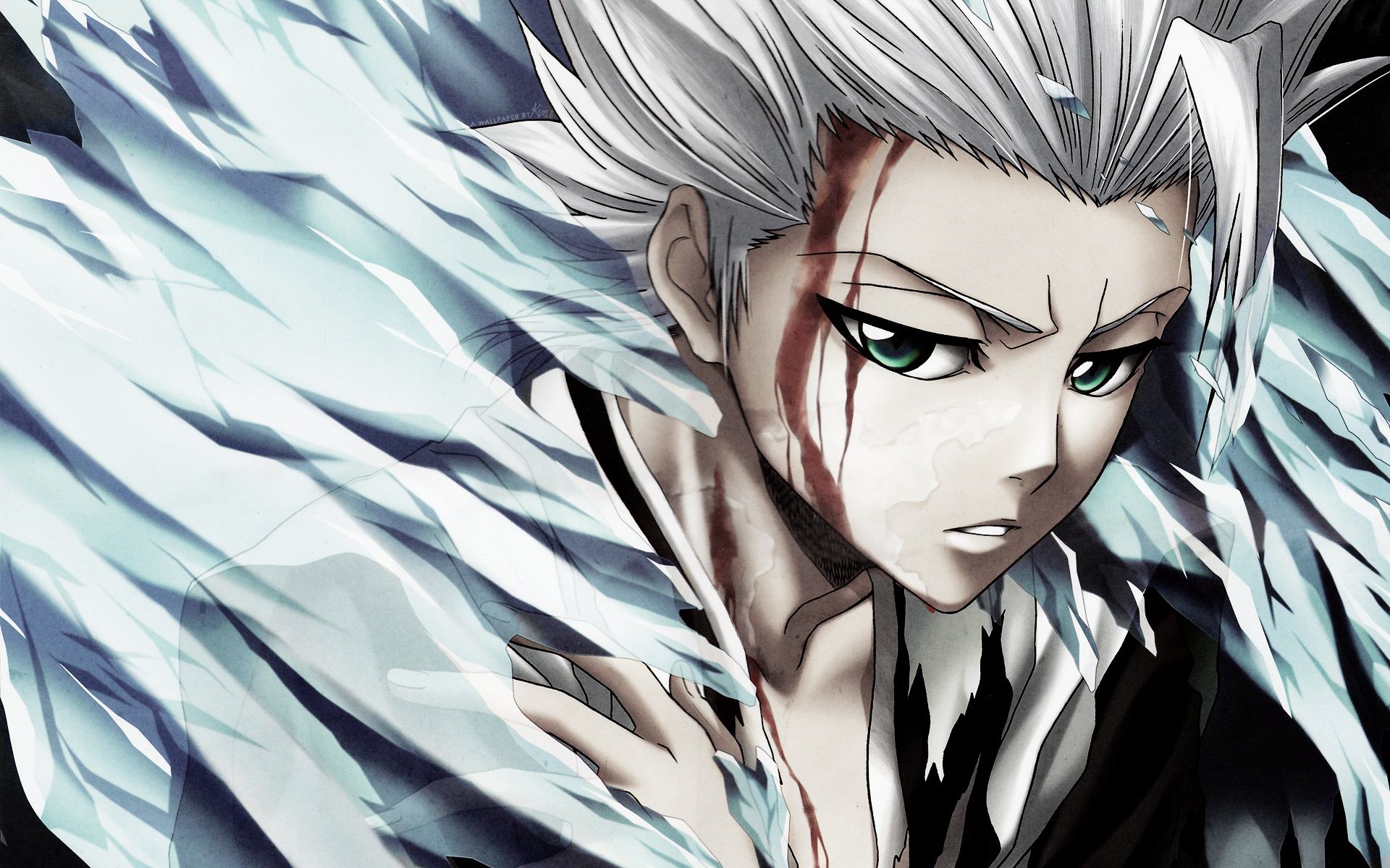 Toshiro Hitsugaya Bleach anime, 1920x1200 Full HD+ WUXGA, PC