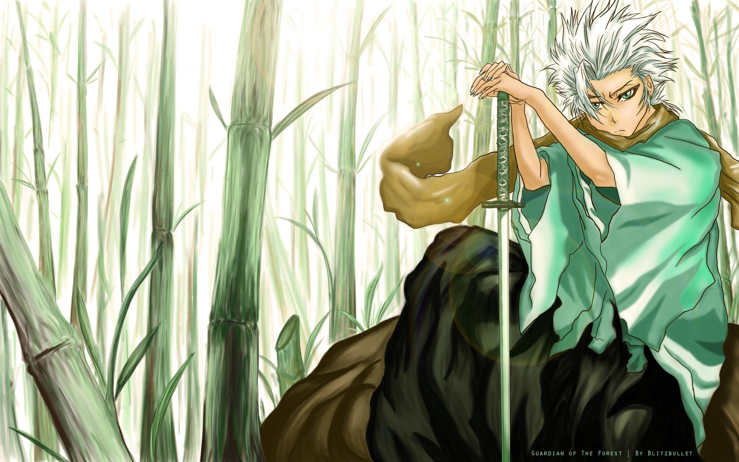 Hitsugaya Bleach bambù, 2560x1600 2K+, Desktop