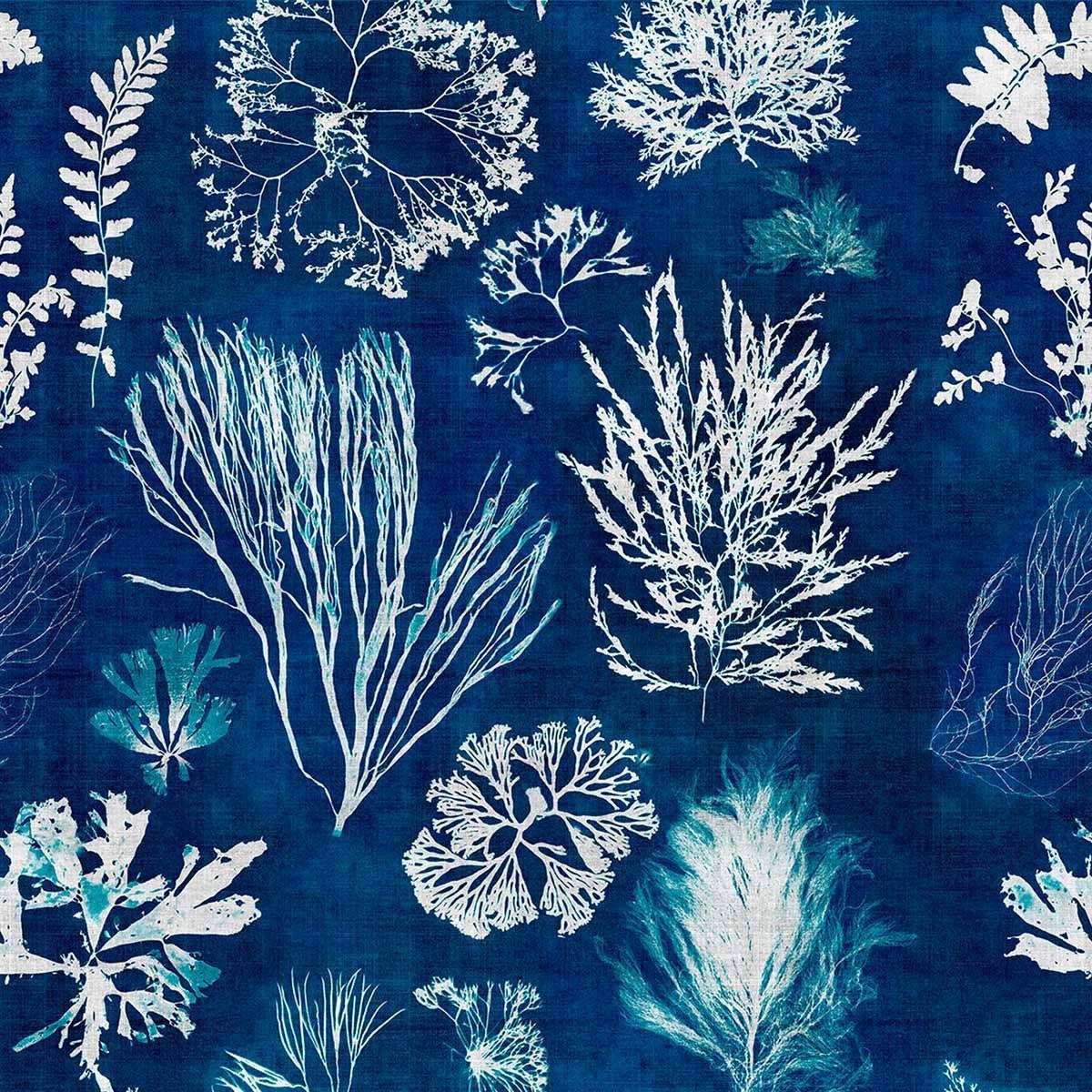 Alghe bianche su blu navy, 1200x1200 HD, Laptop
