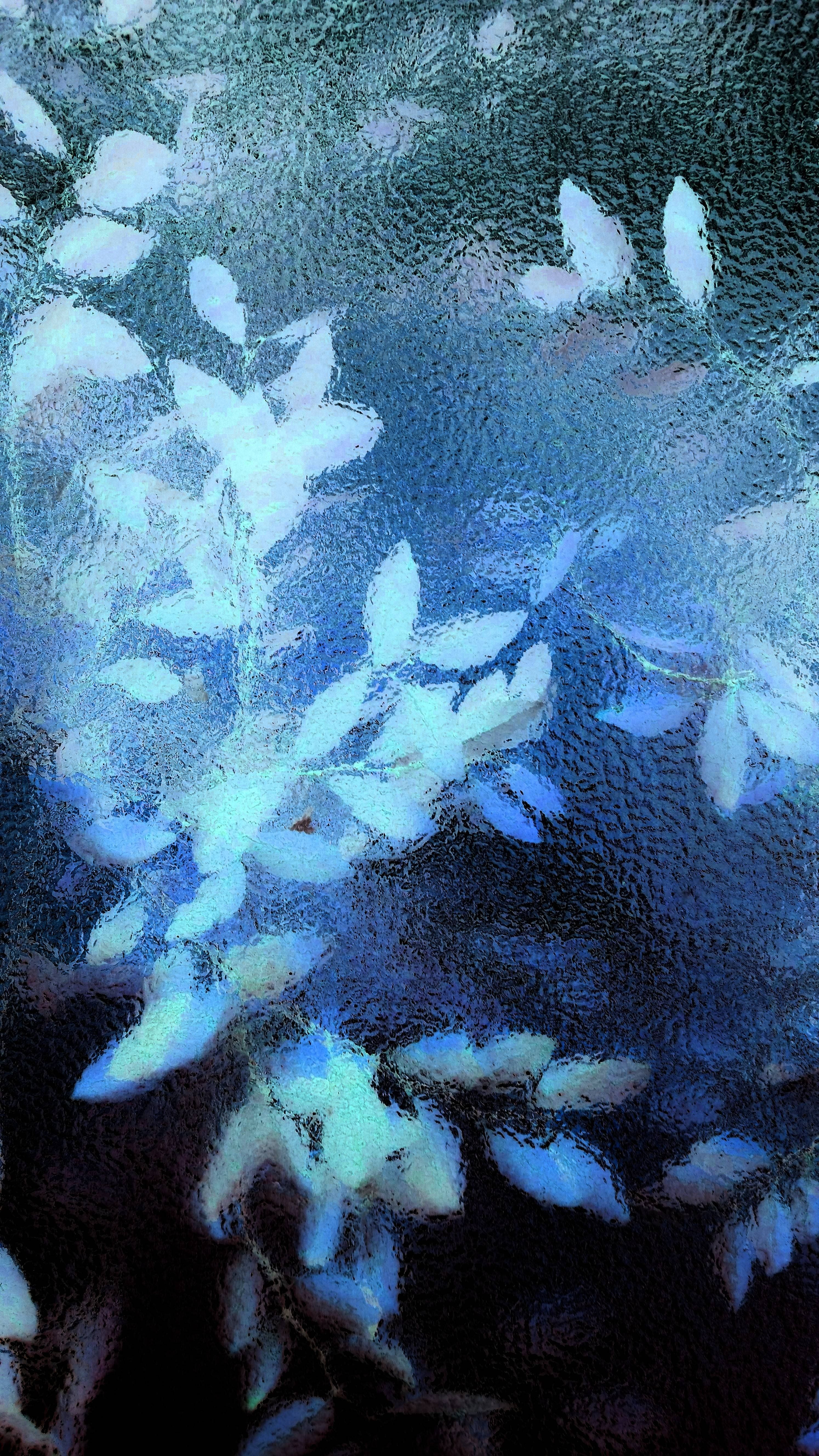 Foglie blu dietro vetro, 2988x5312 Full HD Verticale, iPhone