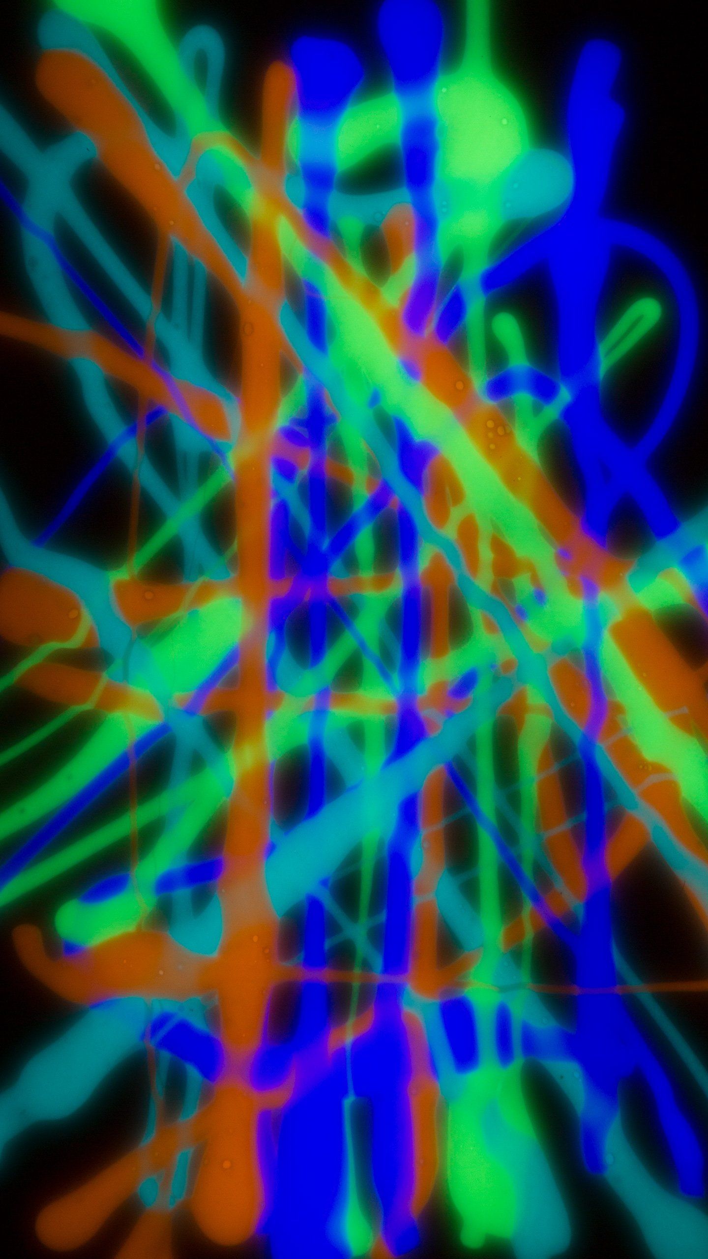 Linee astratte colorate luminose, 1440x2560 Verticale, Telefono