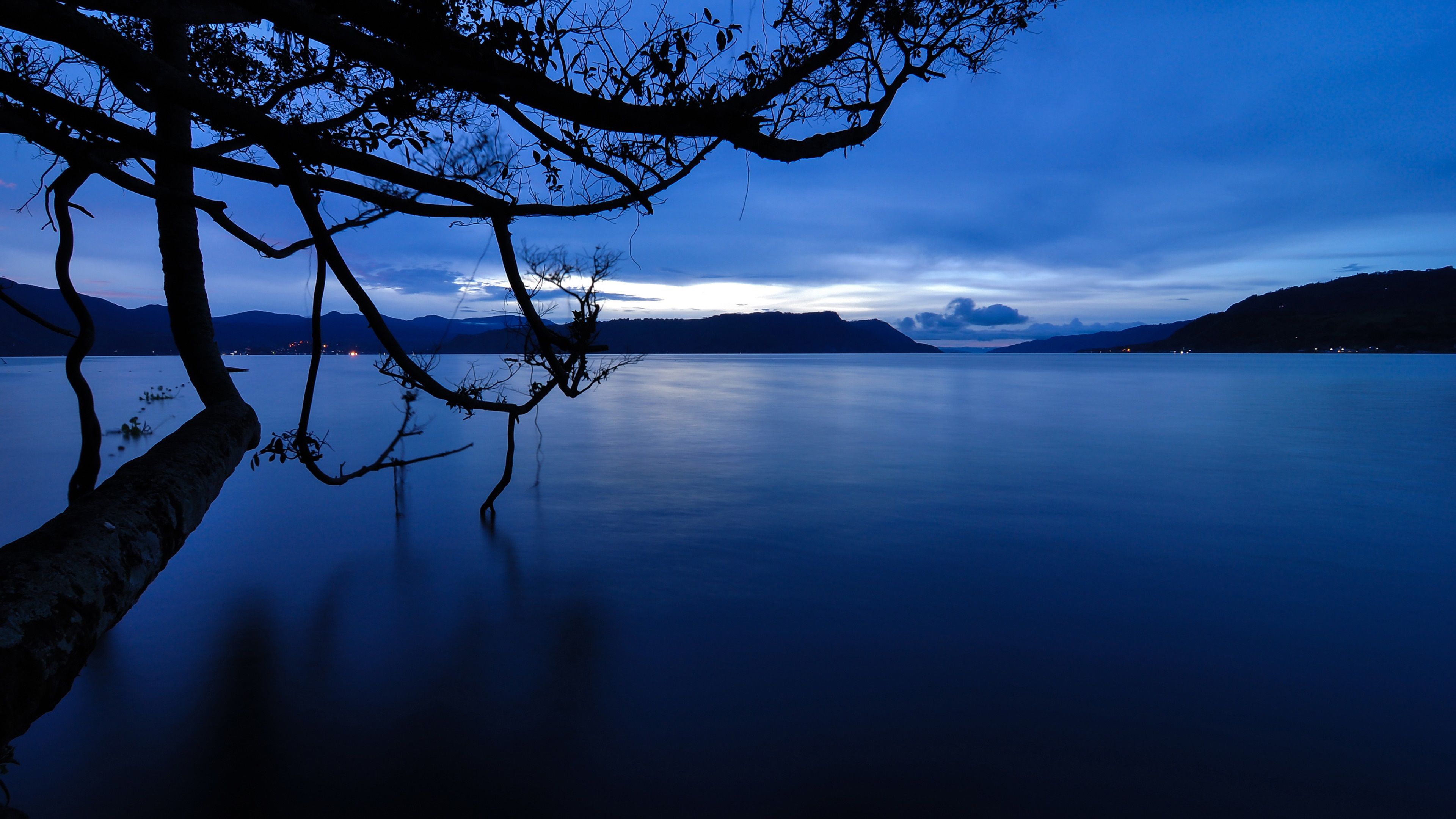 Lago blu scuro con albero, 3840x2160 UHD, PC 4K