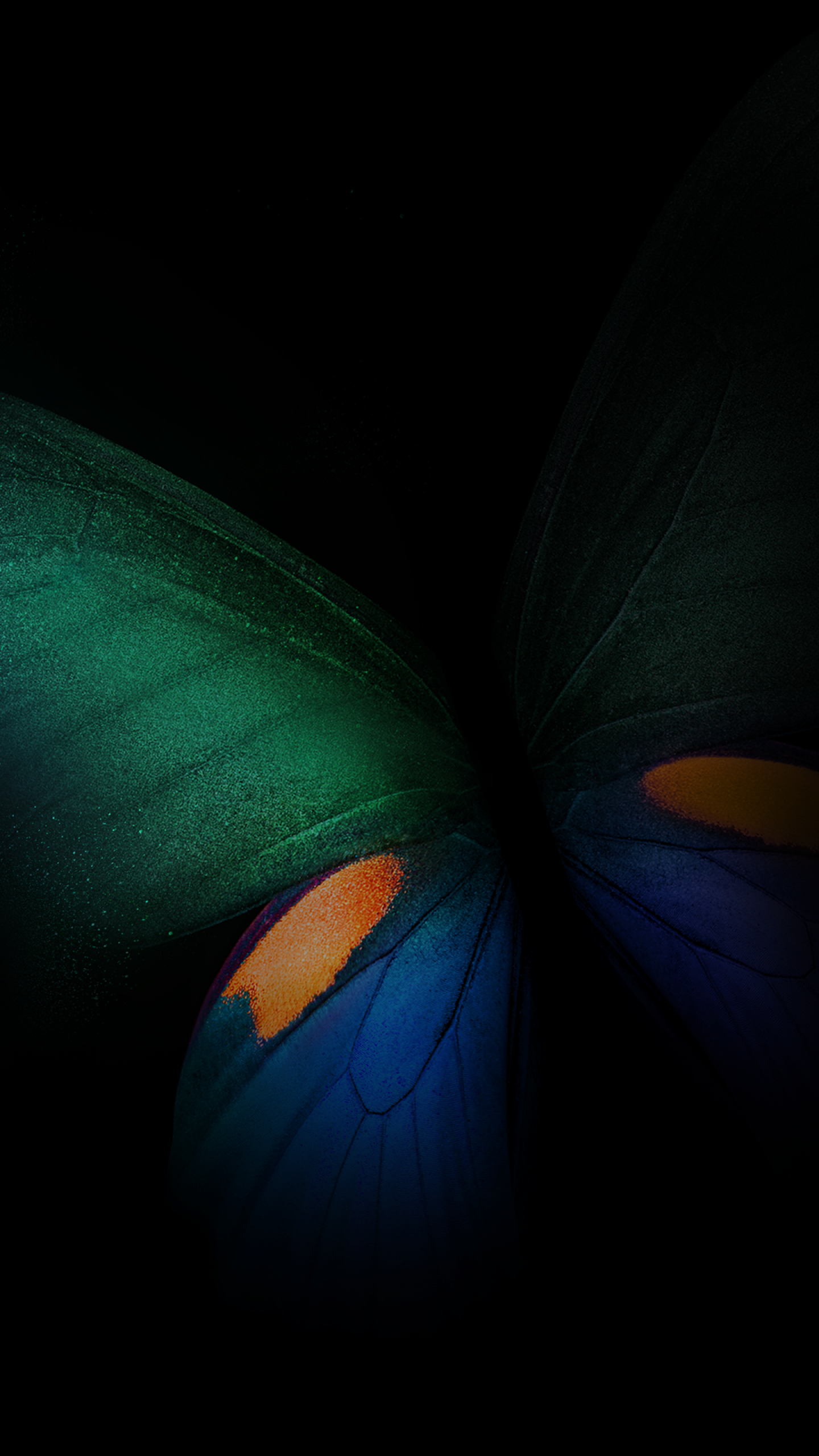 Farfalla verde e blu scuro, 1440x2560 Full HD Verticale, Smartphone