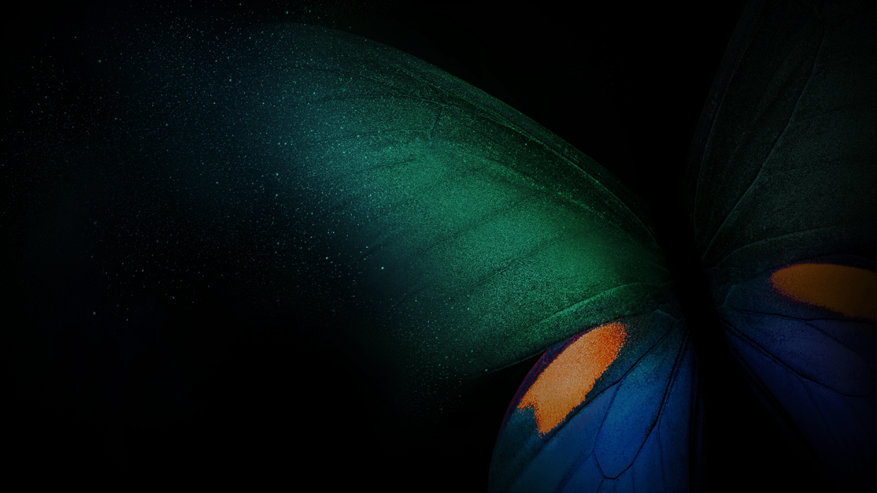Farfalla verde e blu scuro, 1280x720 HD, PC Desktop