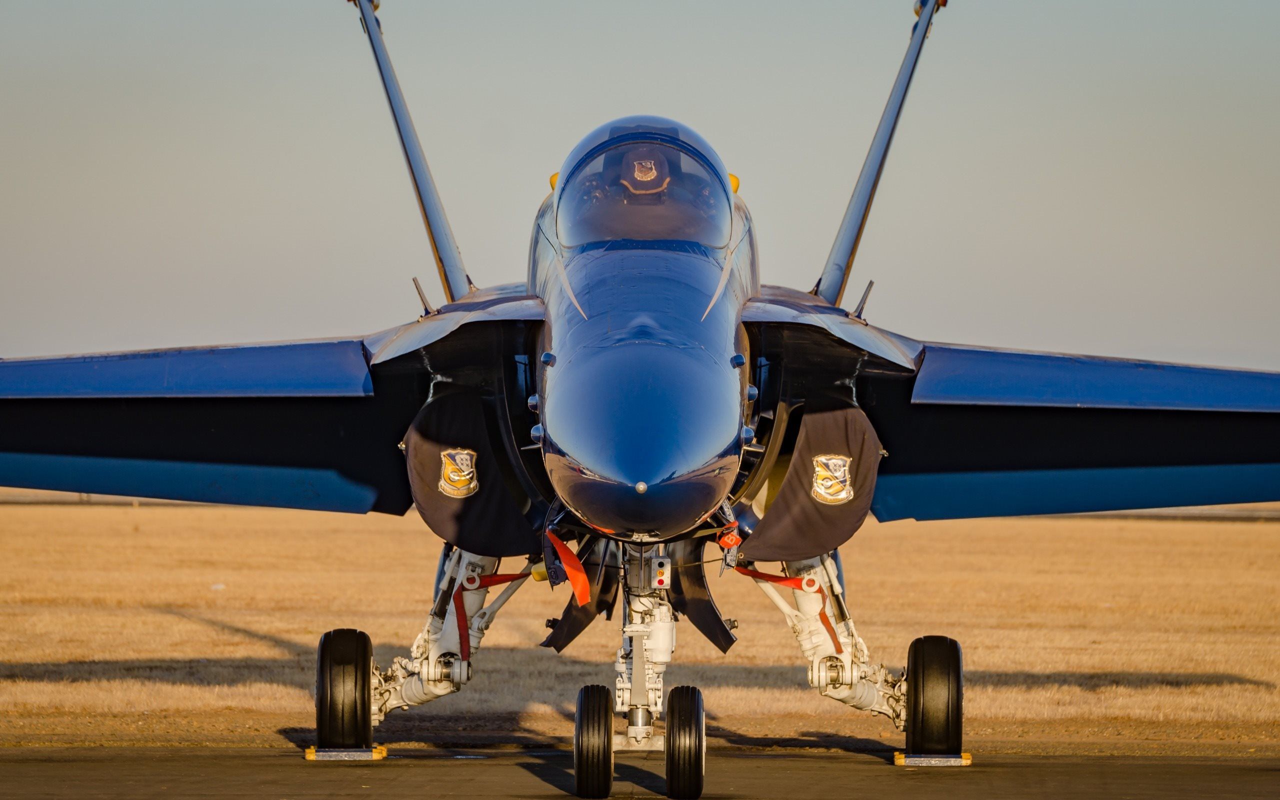 Jet blu Blue Angels F-18, 2560x1600 2K+, PC