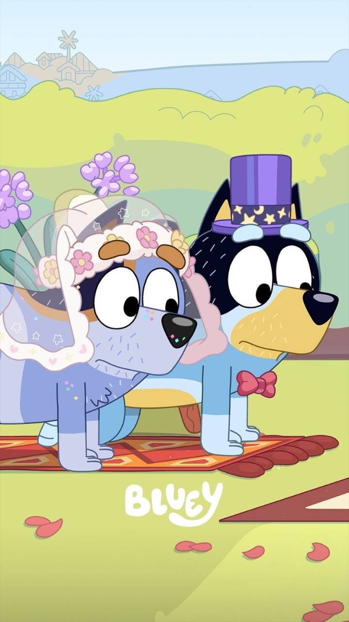 Bluey e Bandit cartoni animati, 720x1280 Verticale, OnePlus