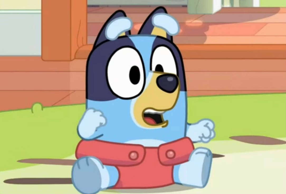 Bluey personaggio cartone animato, 1084x737 HD, PC