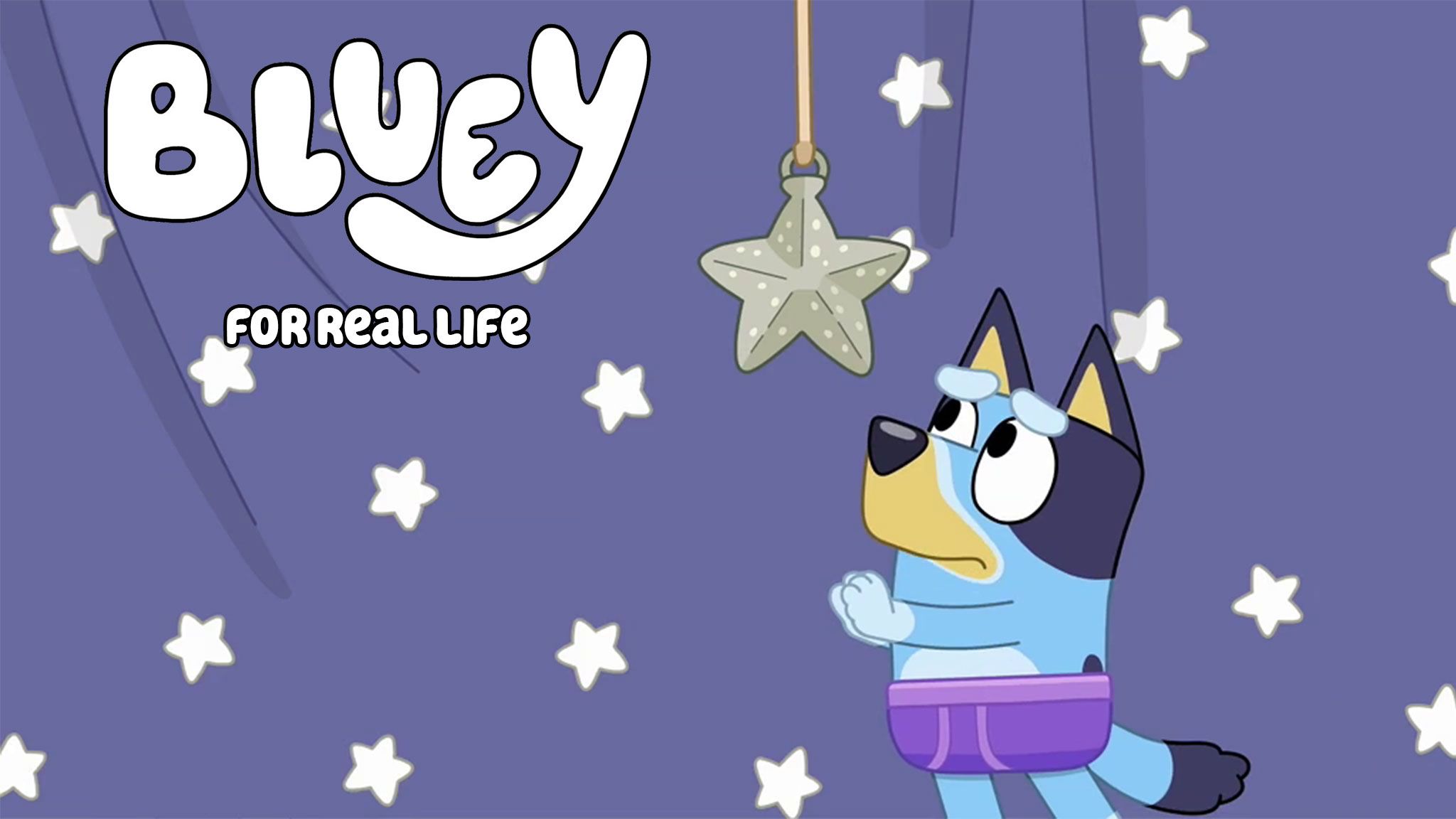 Bluey personaggio cartone animato, 2048x1152 Hi-Res, PC