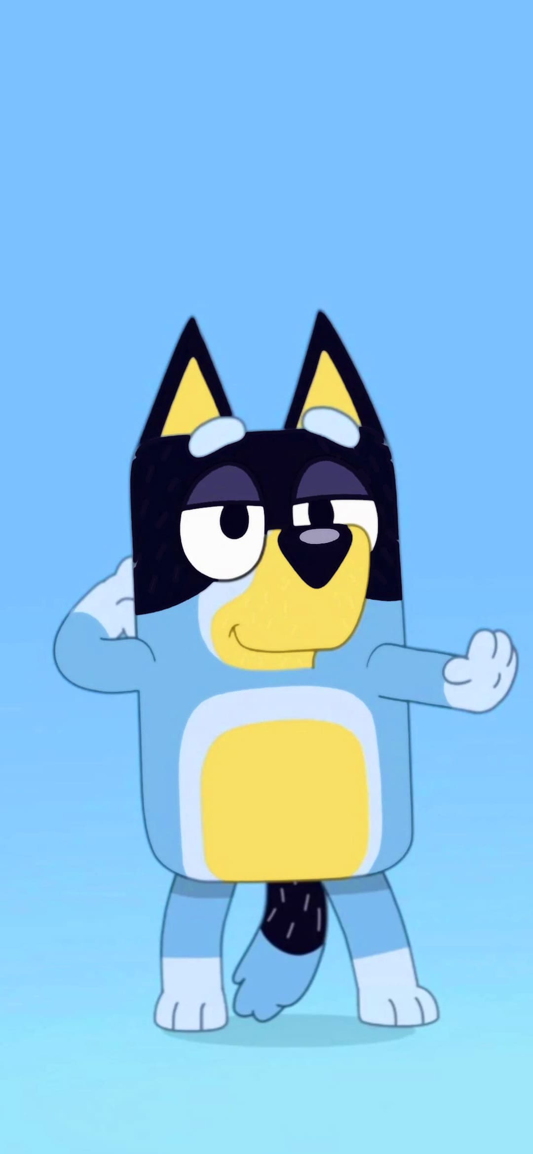 Bandit Bluey cartone animato, 1080x2340 Verticale, Telefono