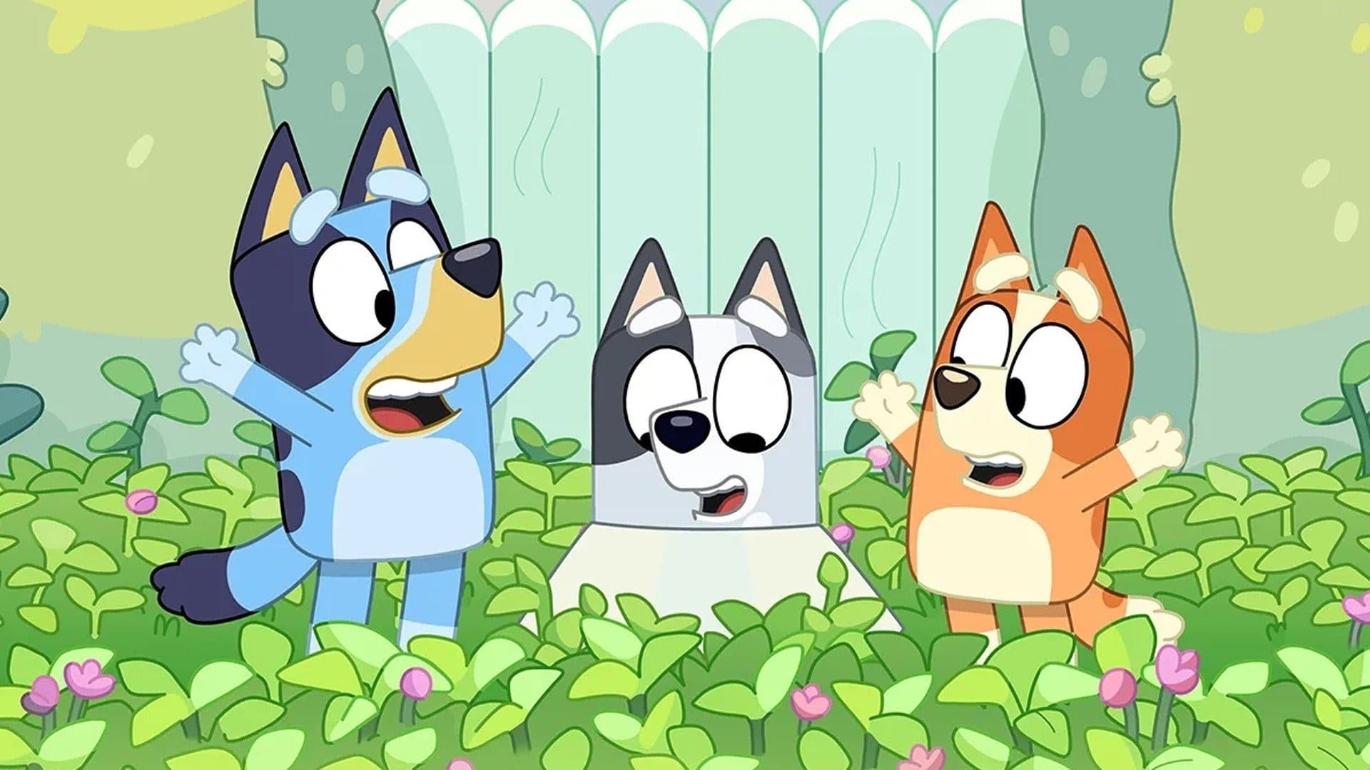 Bluey e amici nel giardino, 1920x1080 Full HD 1080p, PC