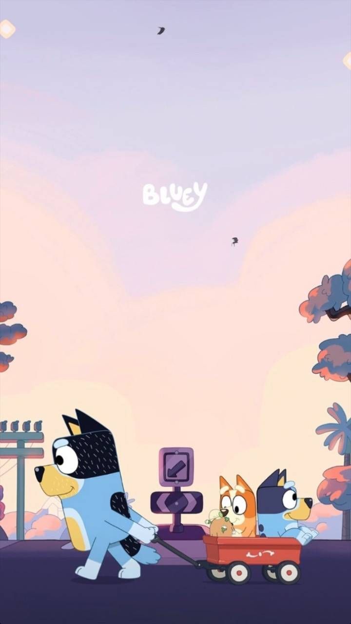 Bluey e Bingo personaggi cartoon, 720x1280 Verticale, Xiaomi