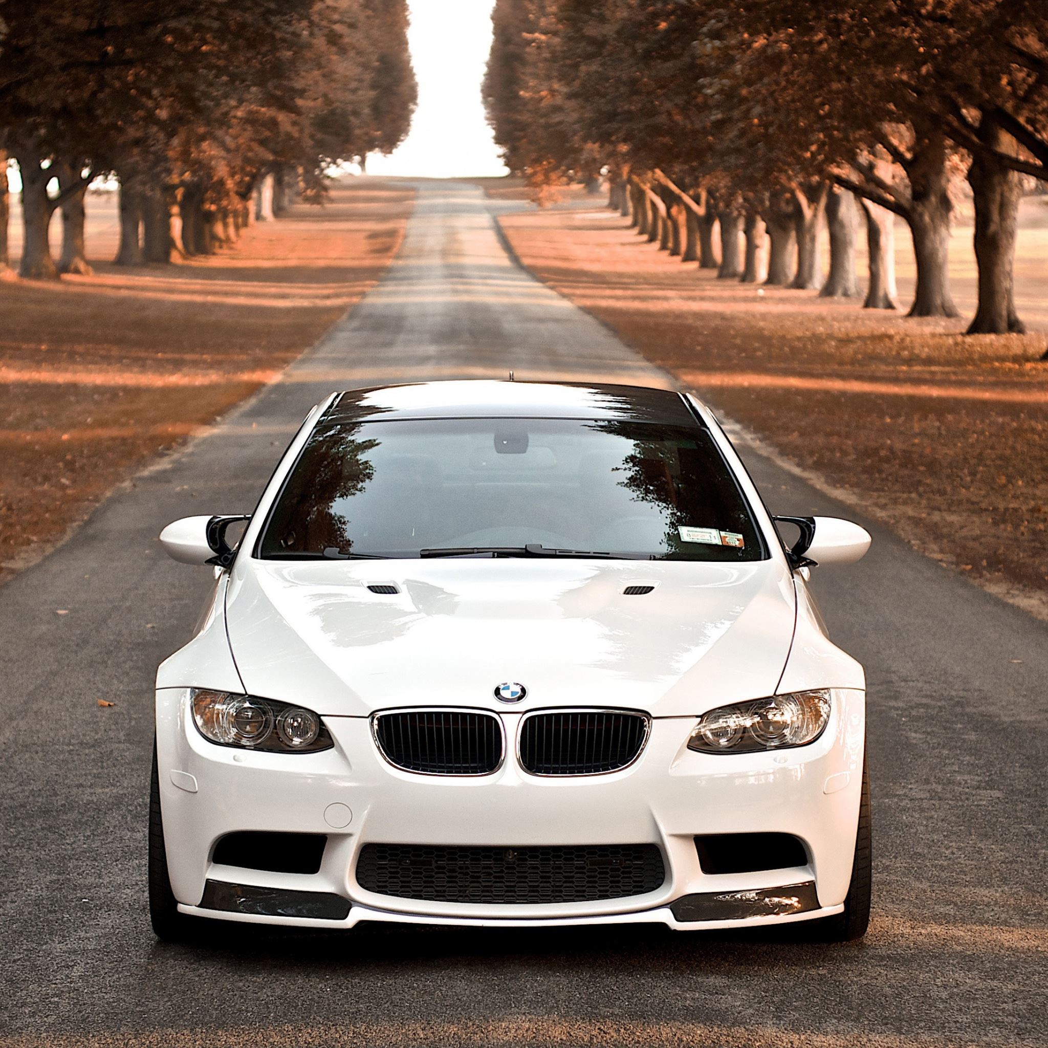 BMW M3 bianca strada autunno, 2048x2048 alta risoluzione, Desktop