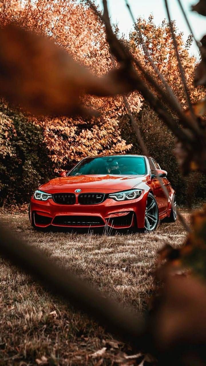 BMW M3 rossa autunno, 720x1280 Full HD Verticale, iPhone