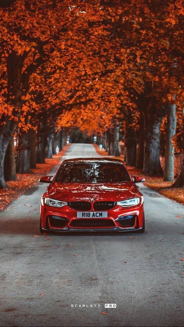 BMW M3 rossa autunno, 720x1280 Full HD Verticale, Smartphone
