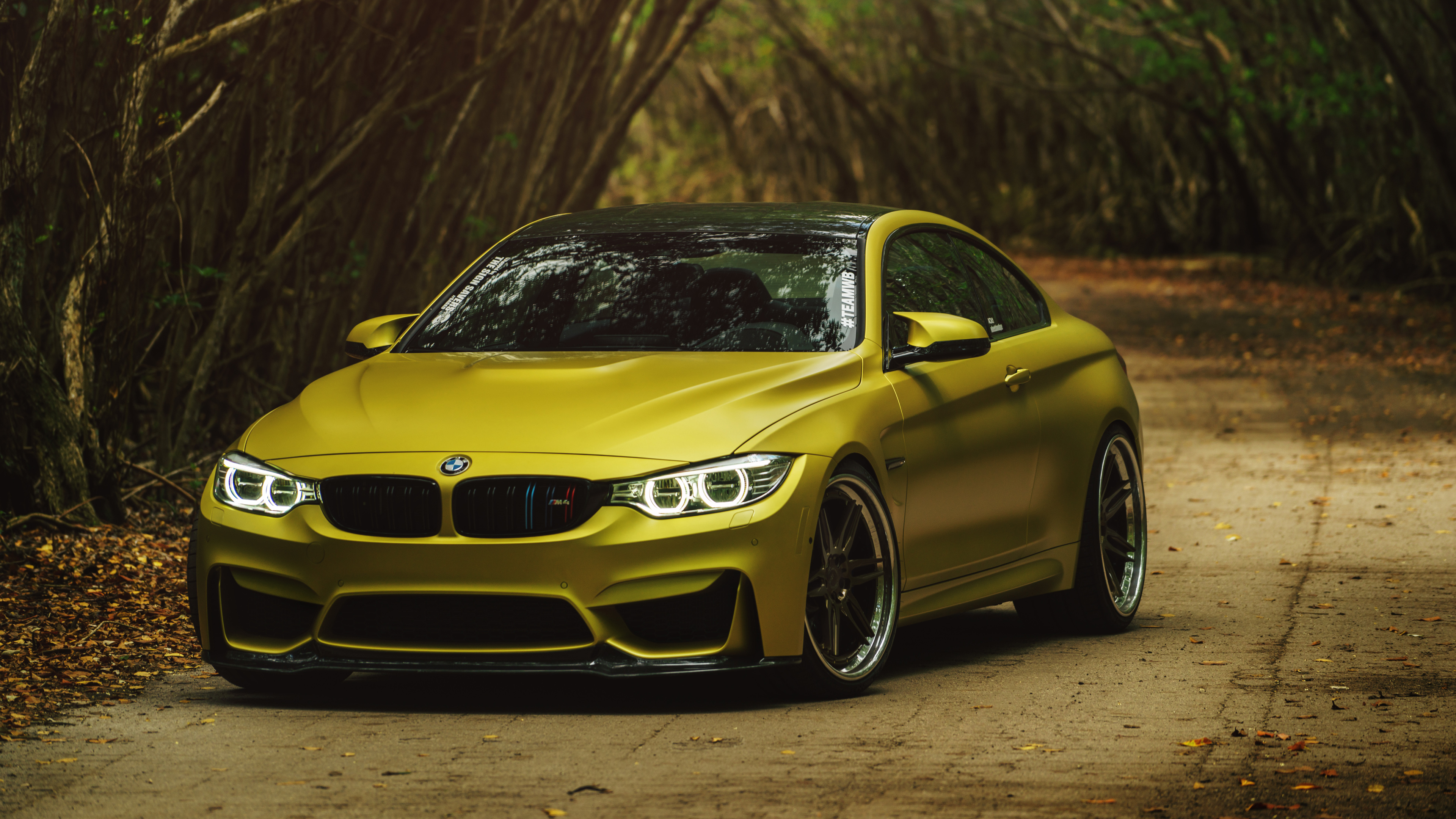 BMW M4 gialla foresta, 3840x2160 4K, Desktop 4K